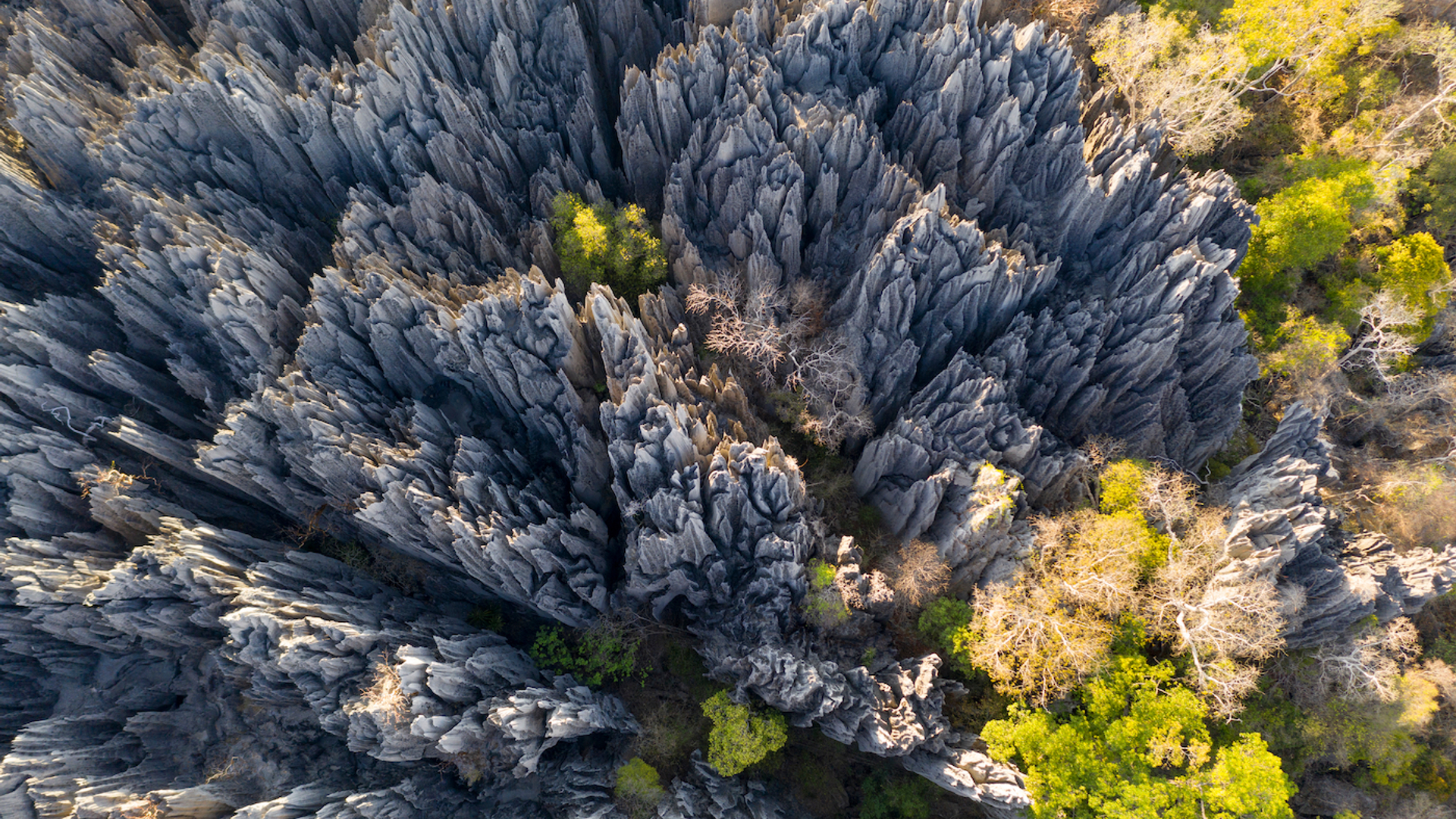 shutterstock_1651939897-1681888742