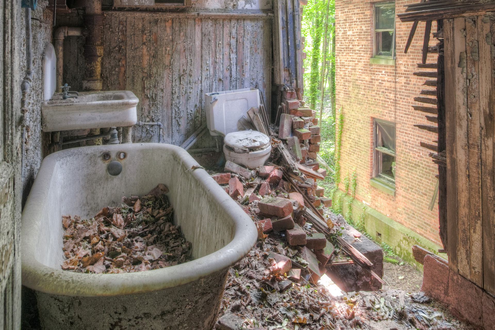 Jonathan_Haeber_1___Flickr.com-1683190874