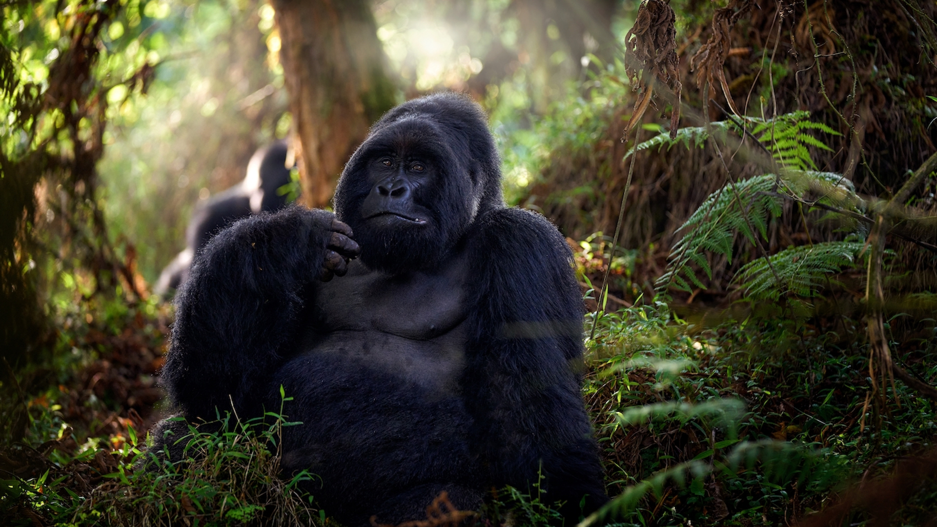 shutterstock_2034460634-1690963997