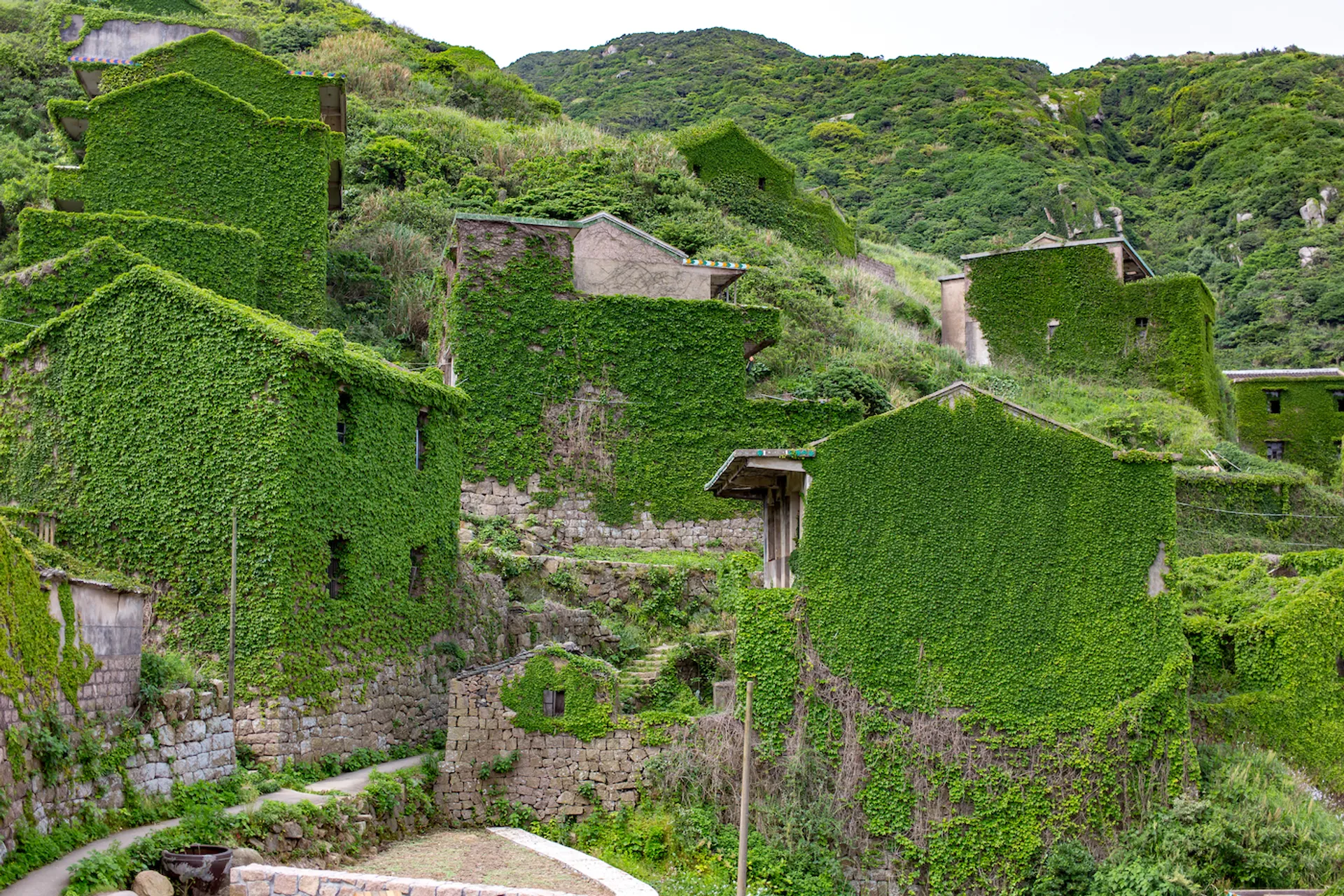 shutterstock_1383444854-1707320123