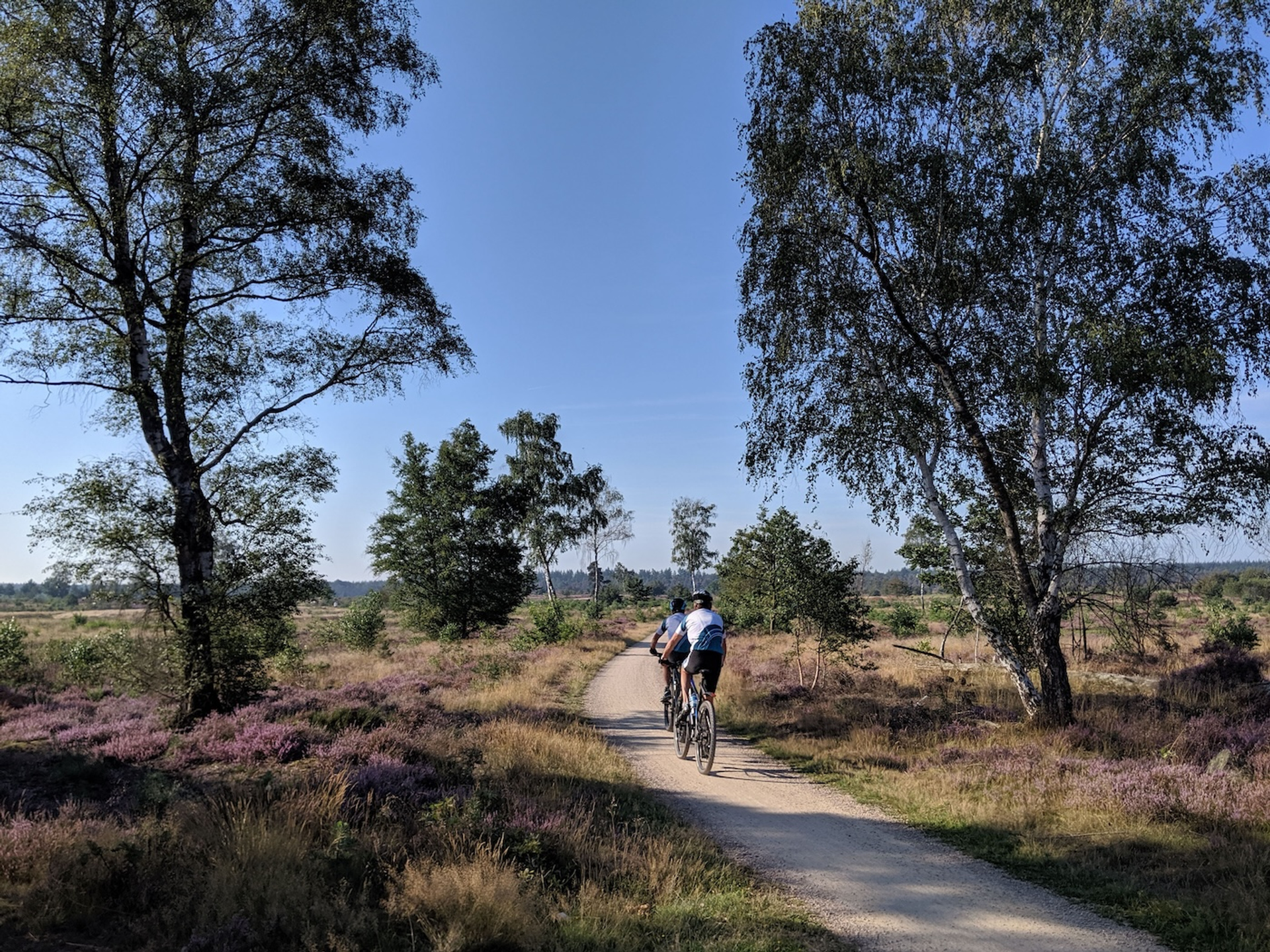 Travel_Telly_kopie-1711115950