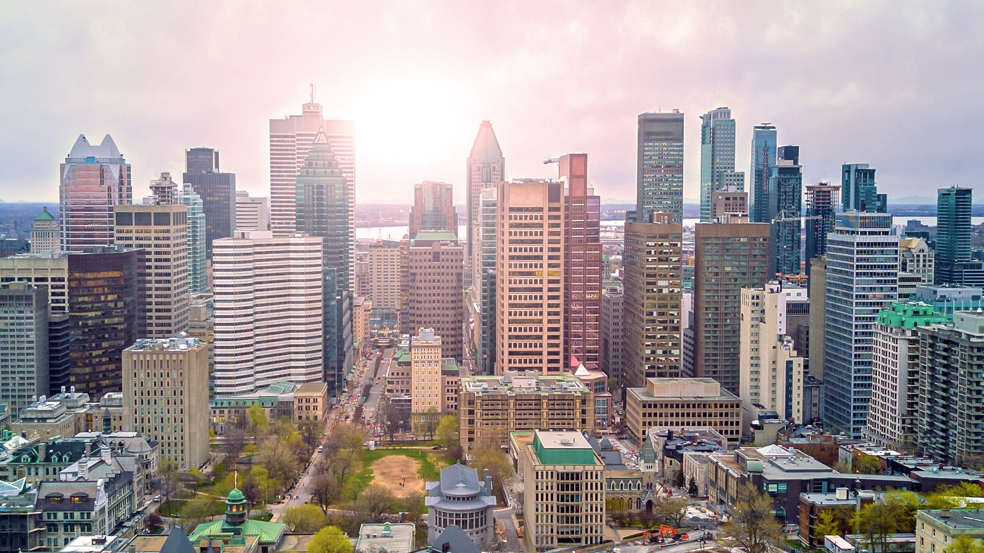 876aecfa-90f7-4af8-895a-b28ff6786a5d-1605090447