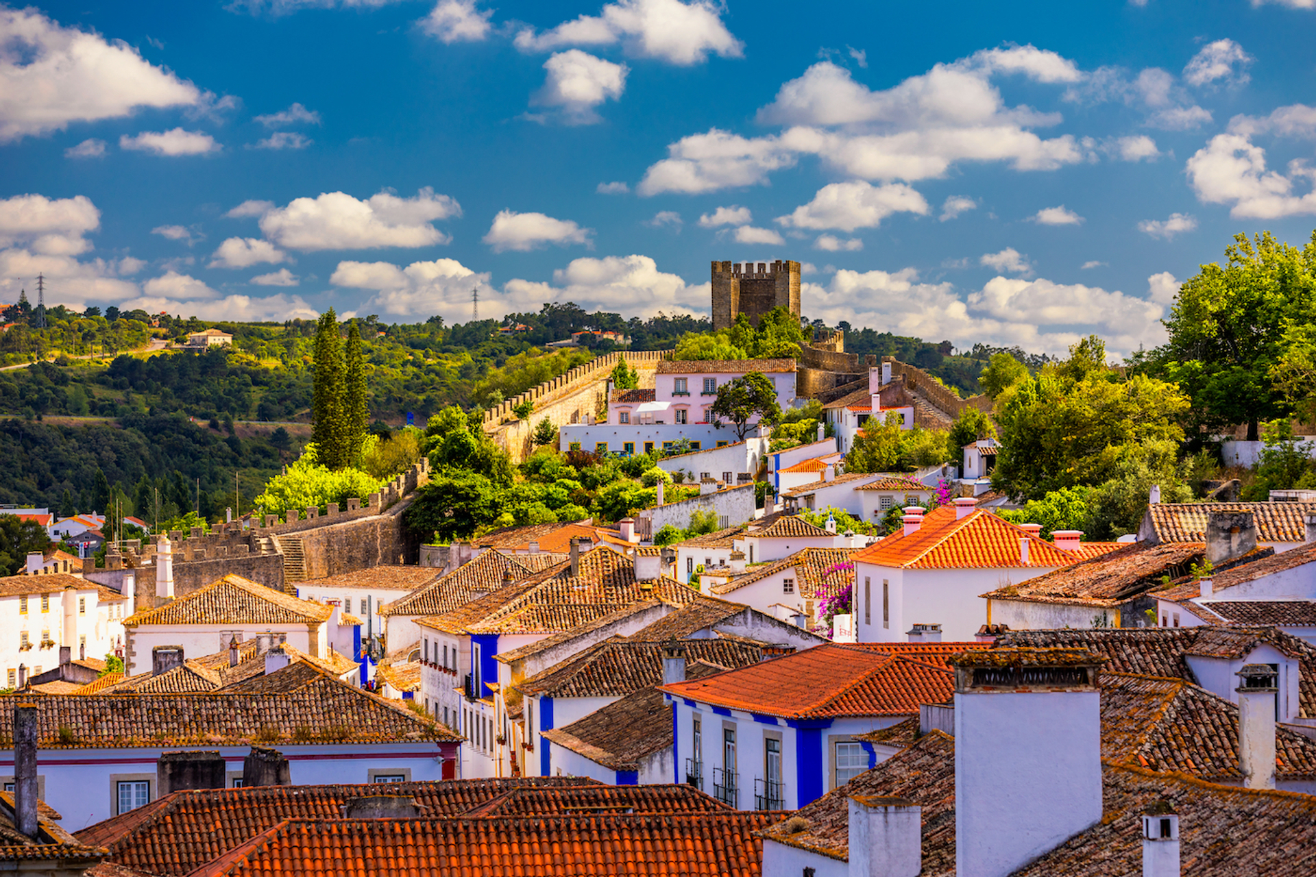 DaLiu___Shutterstock.com-1697541547