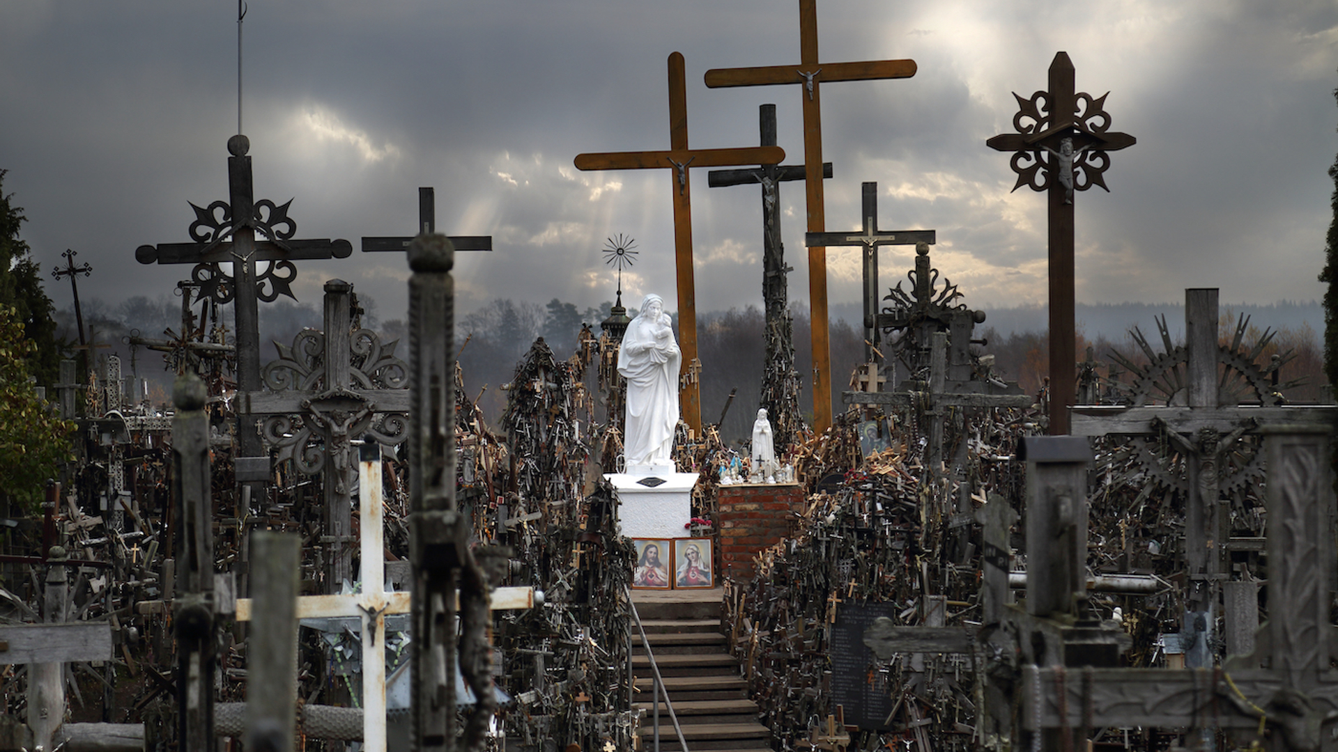 Jelena_Aloskina___Shutterstock.com-1691073648