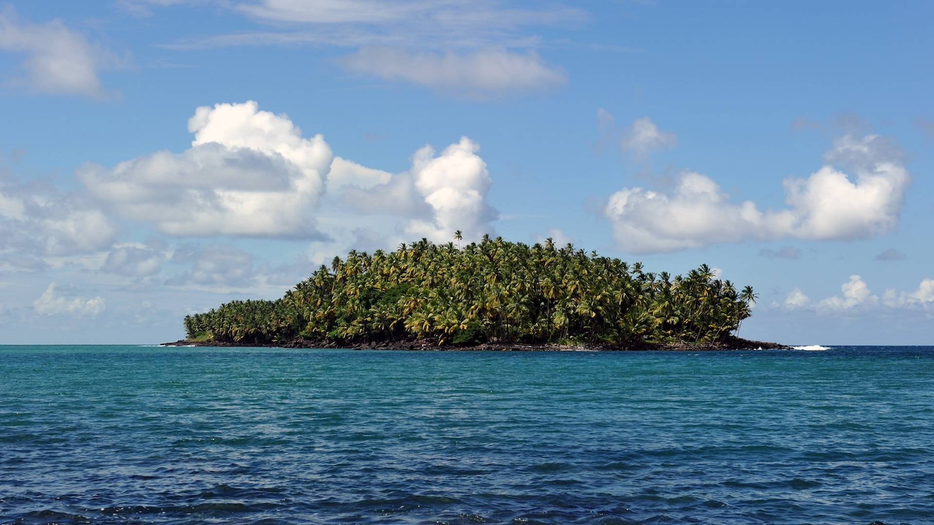 Stephanie_Rousseau___Shutterstock.com-1713516395