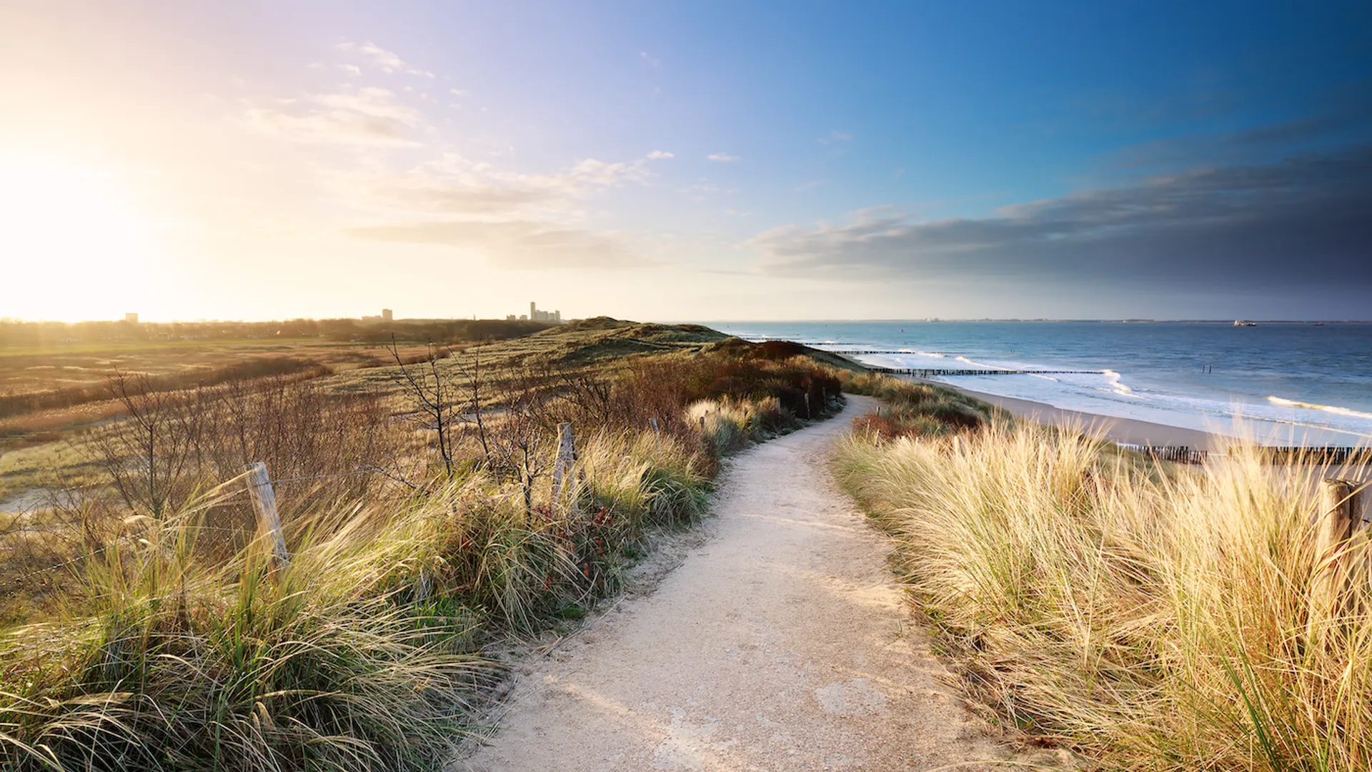 shutterstock_1704733084-1629373670