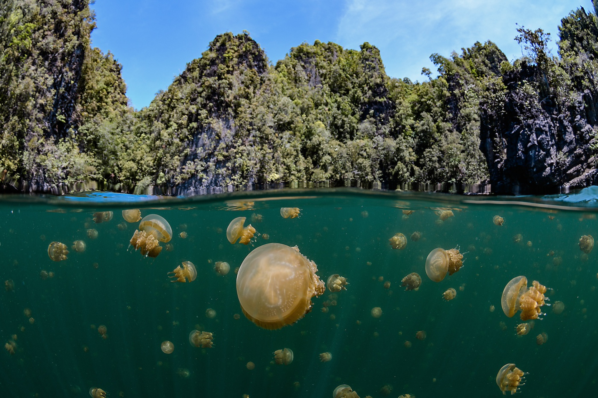 Mekan_Photography-1718892217