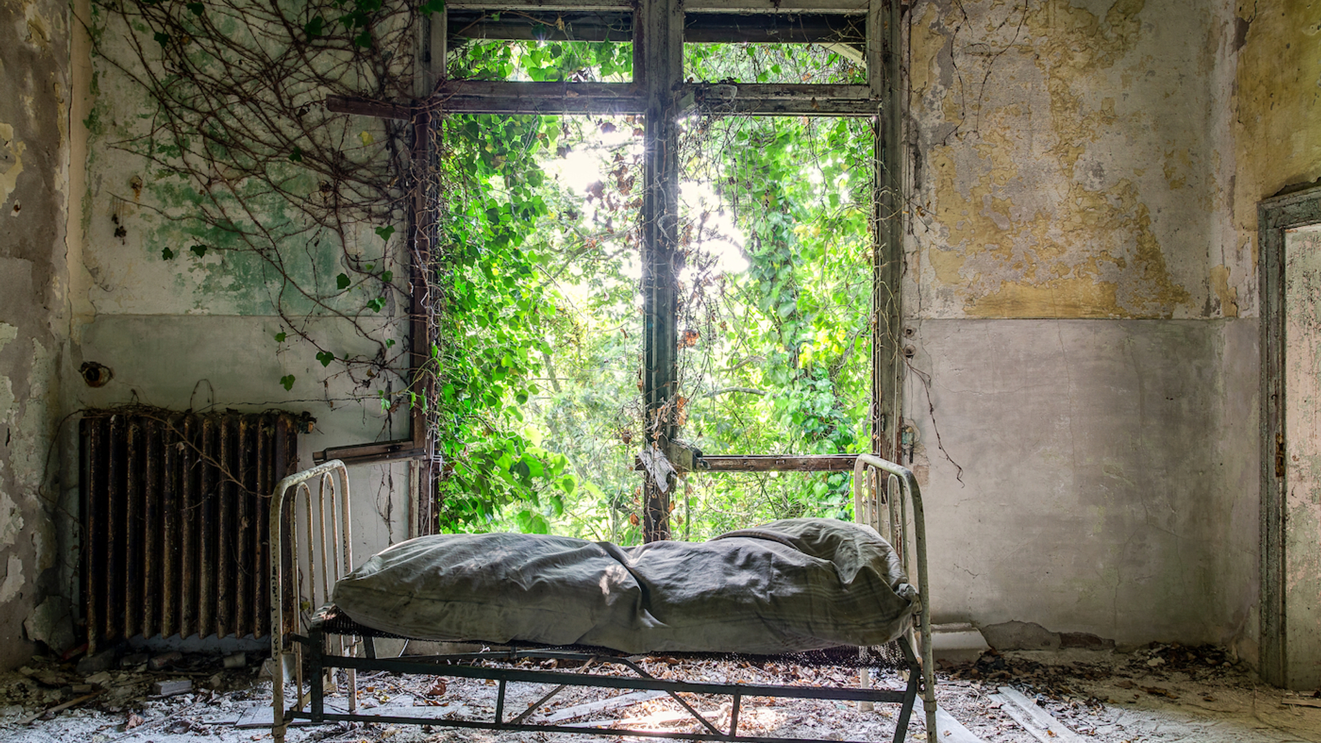 Wirestock_Creators-1706808636