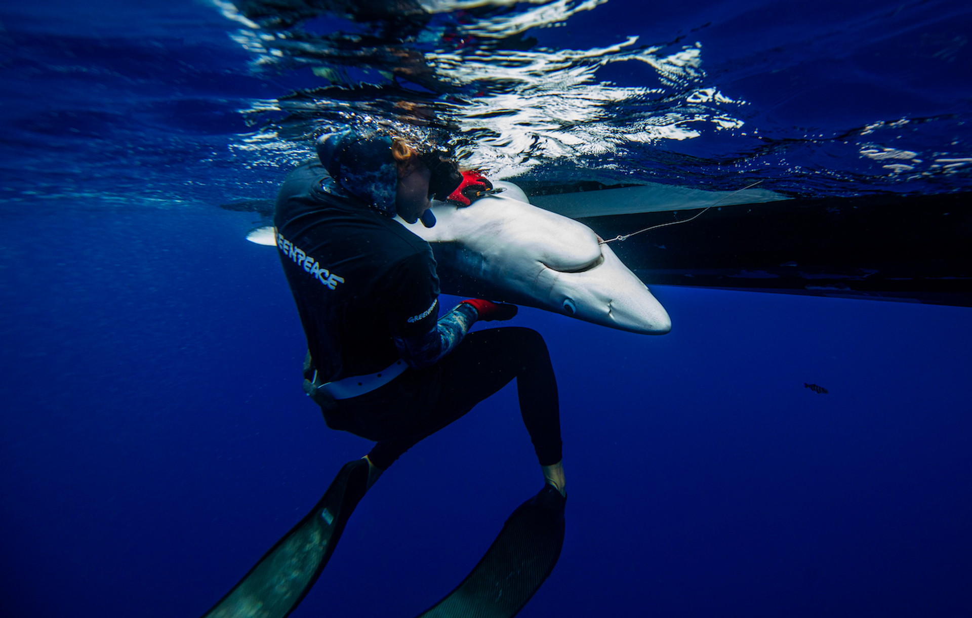 Paul_Hilton_kopie_1-1750410312