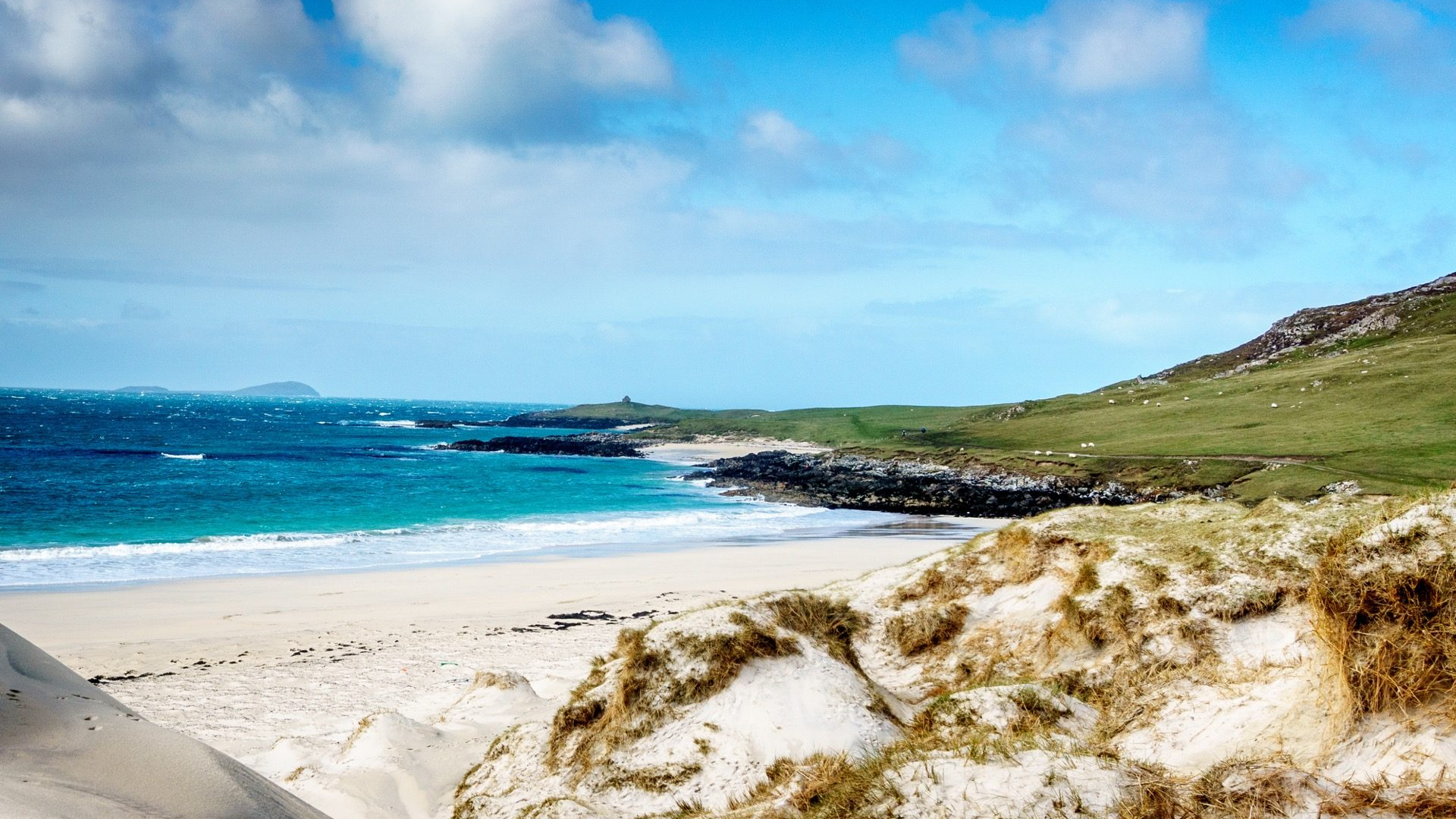 7fd6fa74-dcfe-40e7-9d58-cc272091b354-1605102985