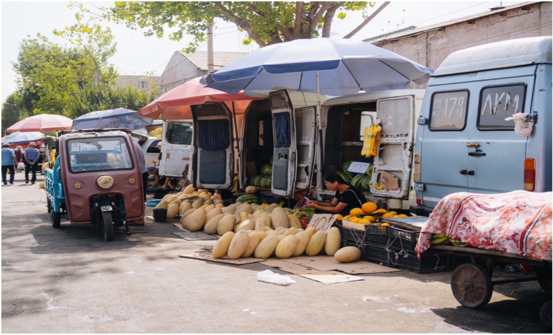 Afbeelding1-1733496147