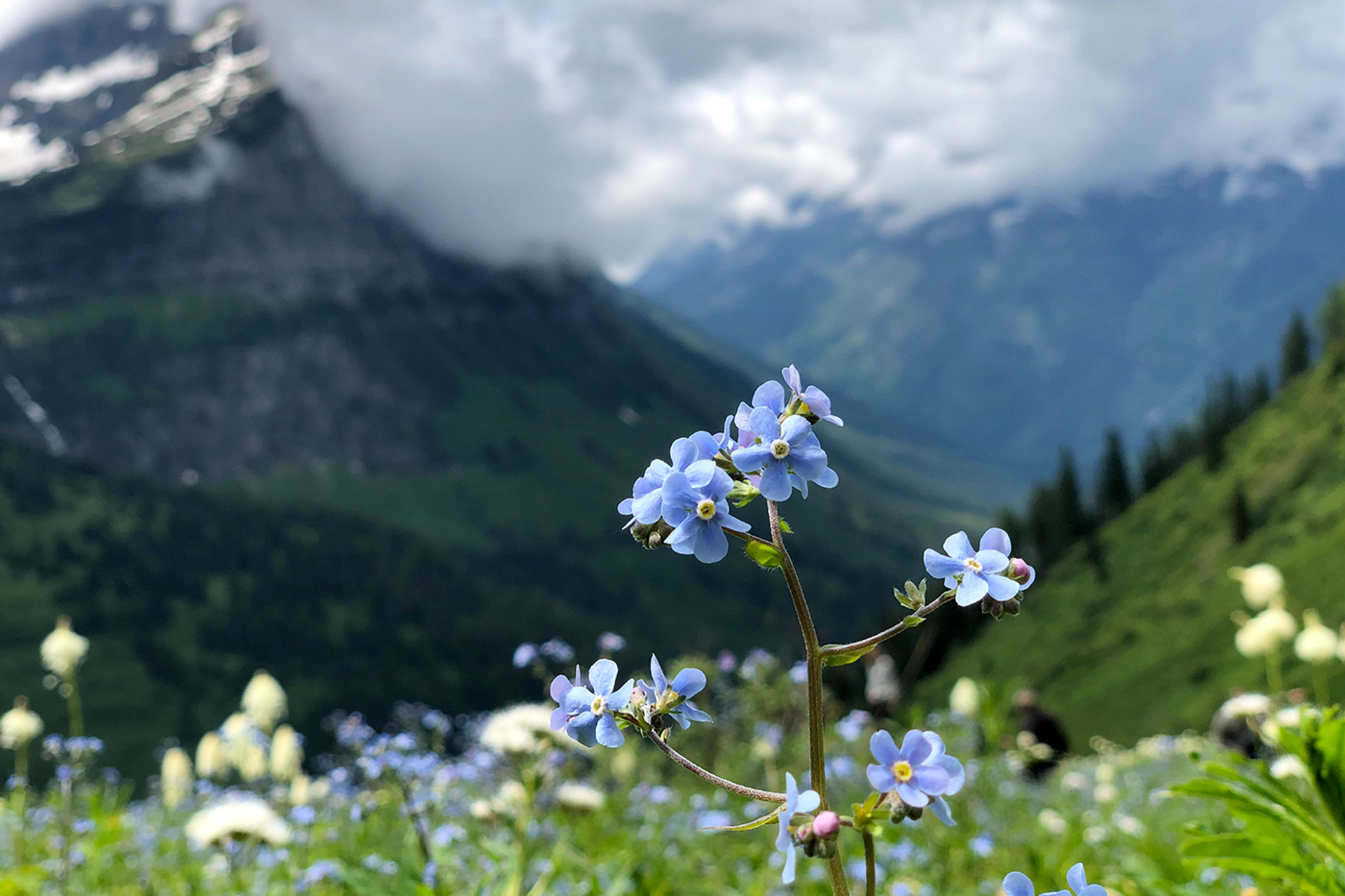 3OR_Glacier_National_Park_Montana-1648120804