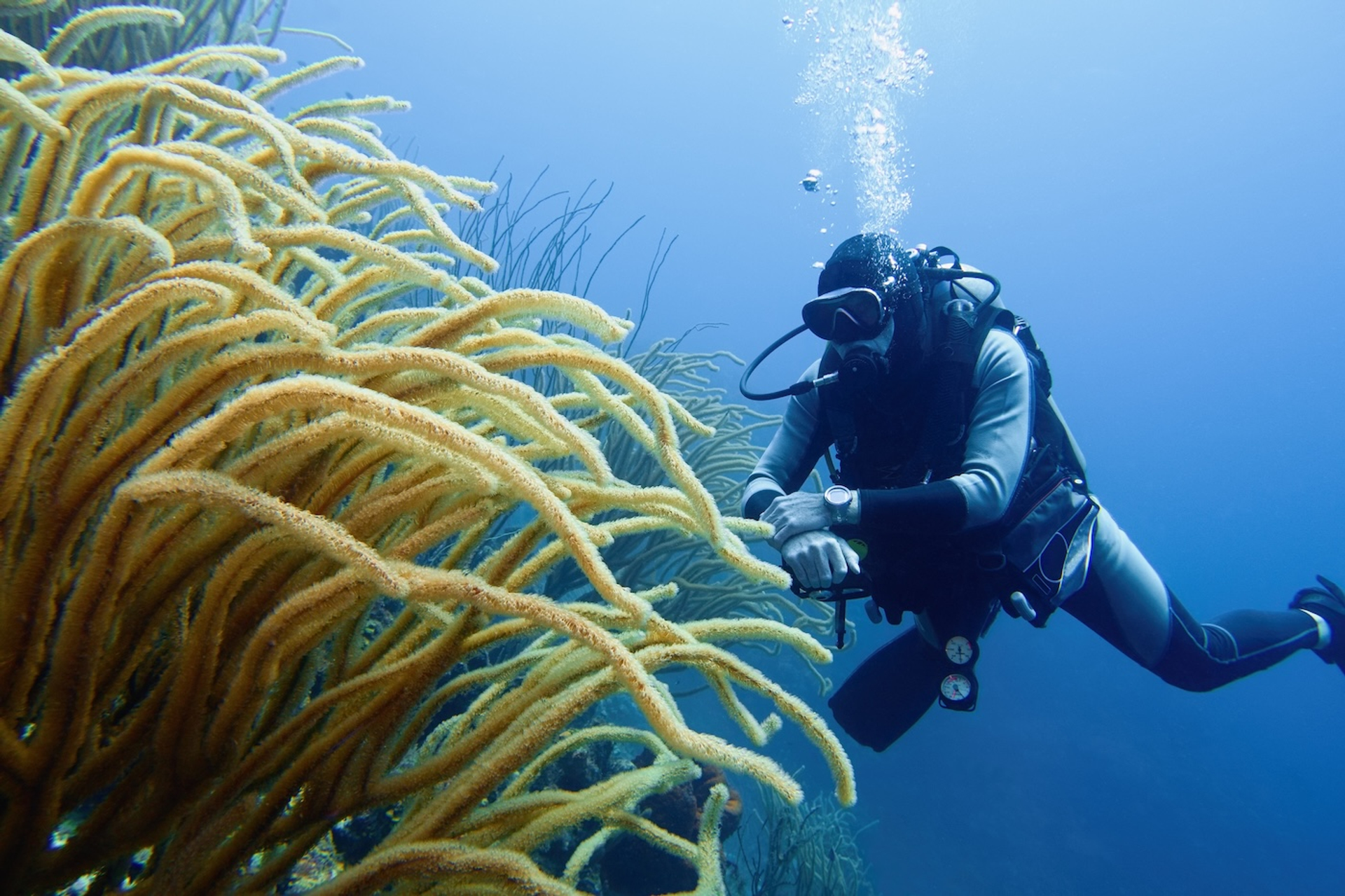 shutterstock_2606422163-1748870877