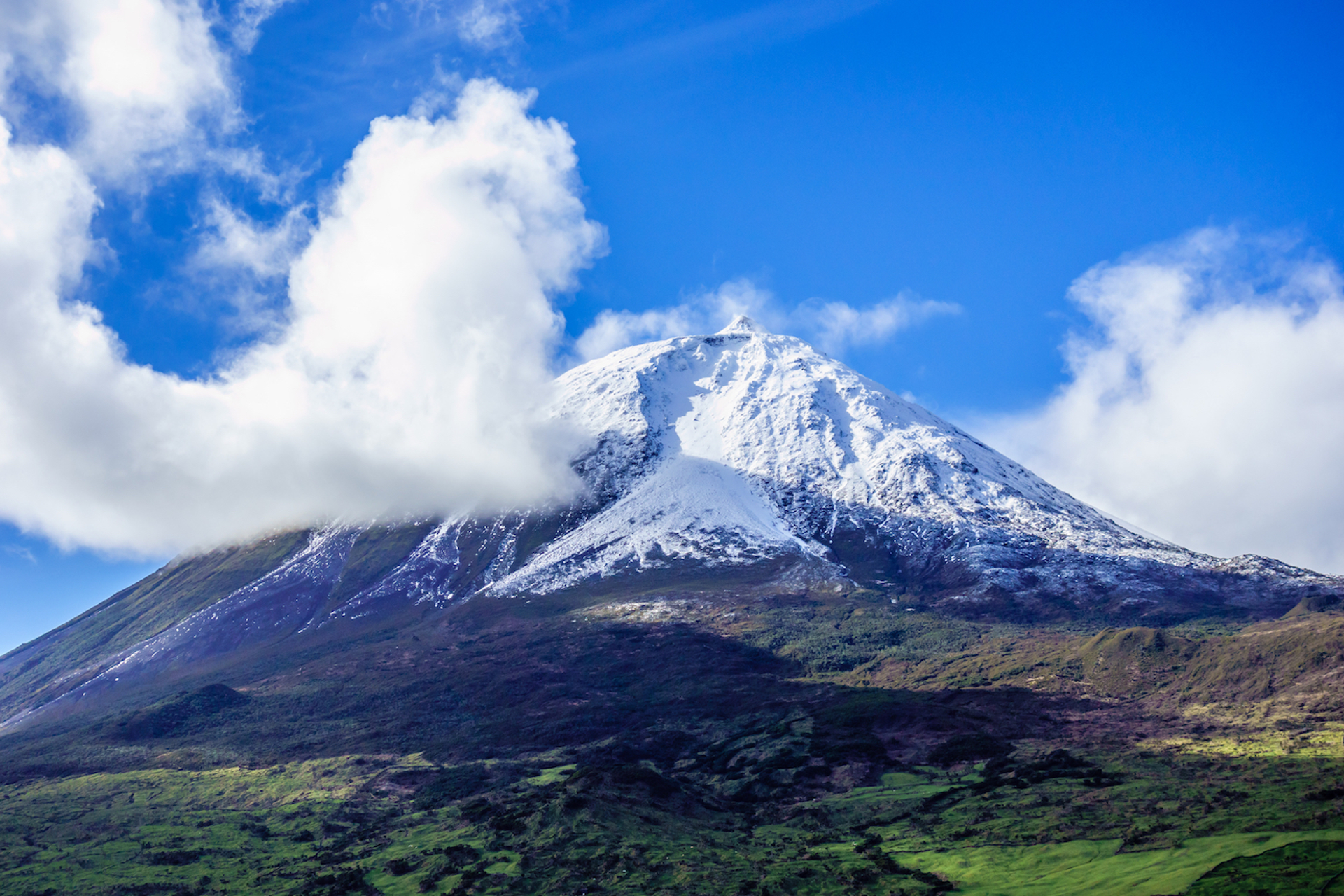 ArchonCodex-1695381301