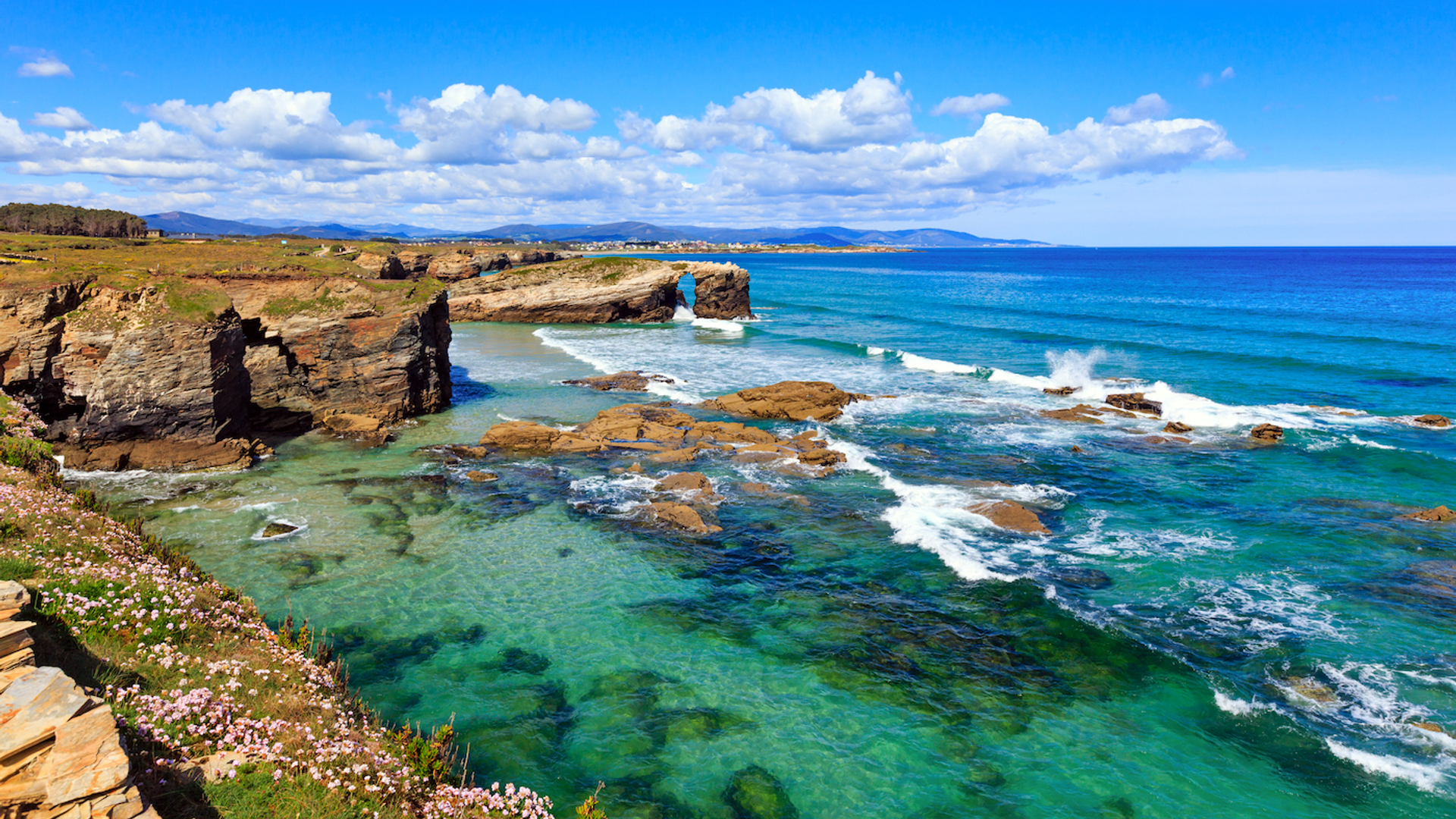 shutterstock_484231102-1641475178