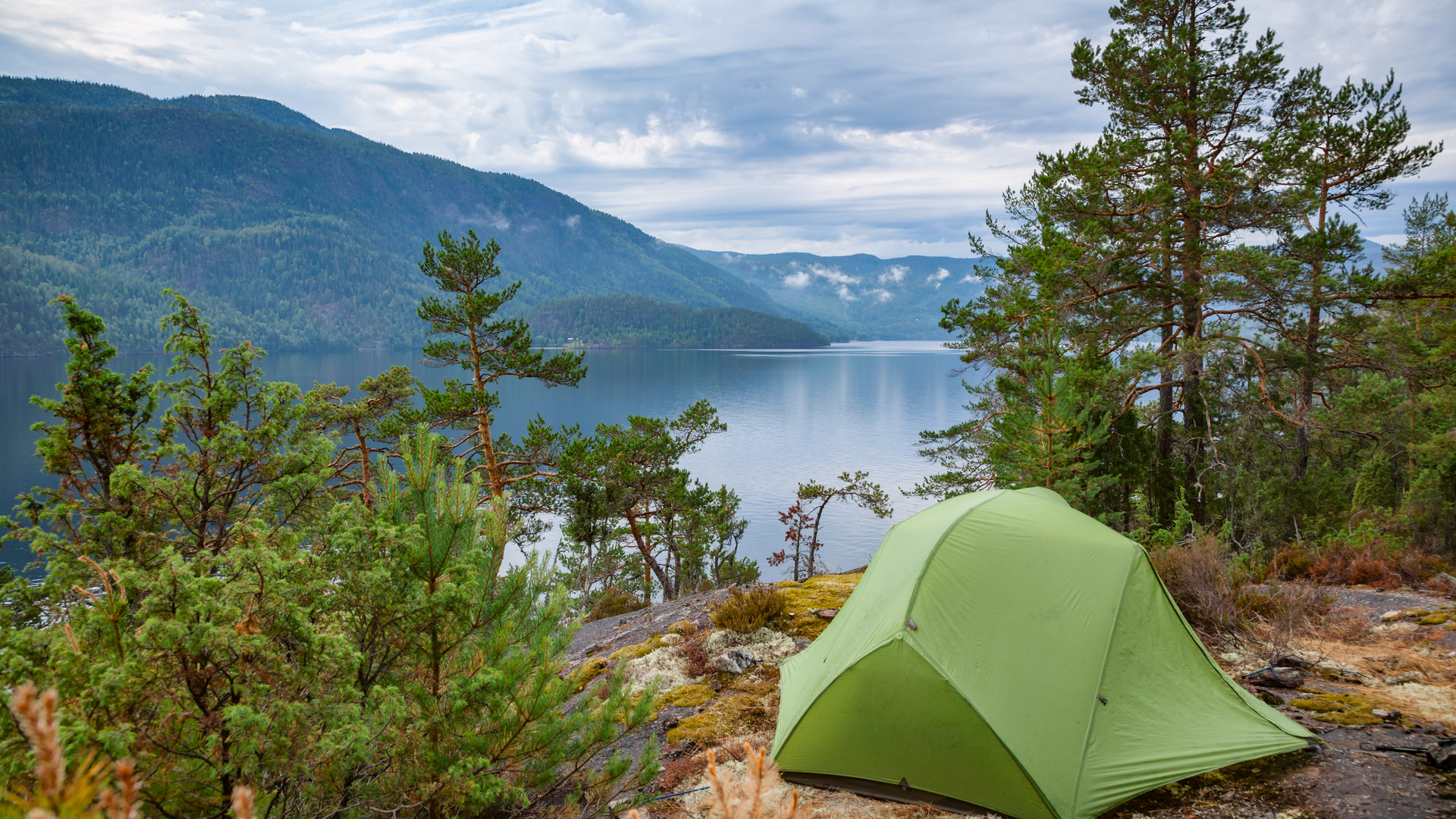 shutterstock_1178540200-1665491982