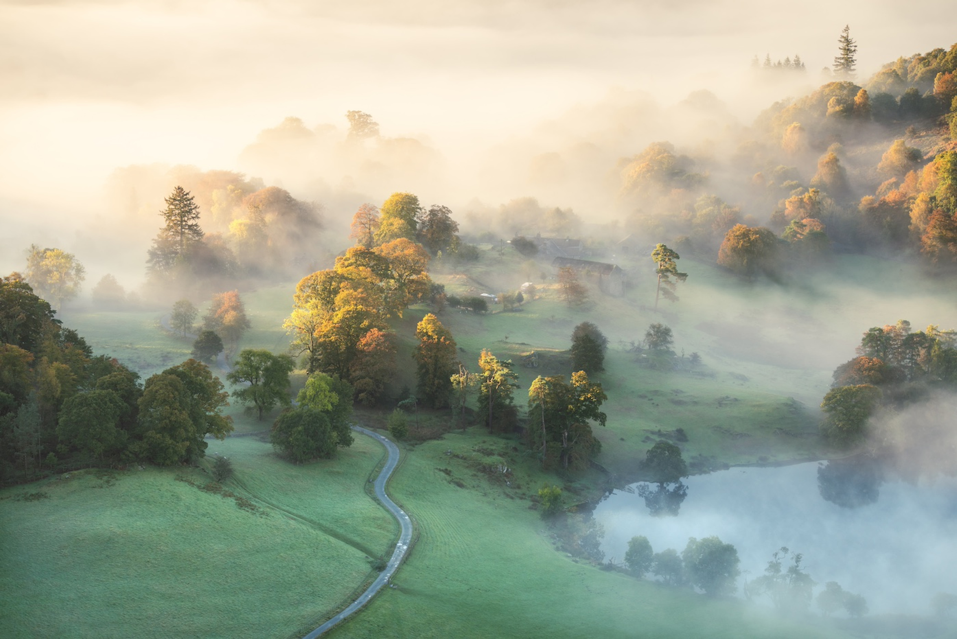 shutterstock_2477326907-1726147087