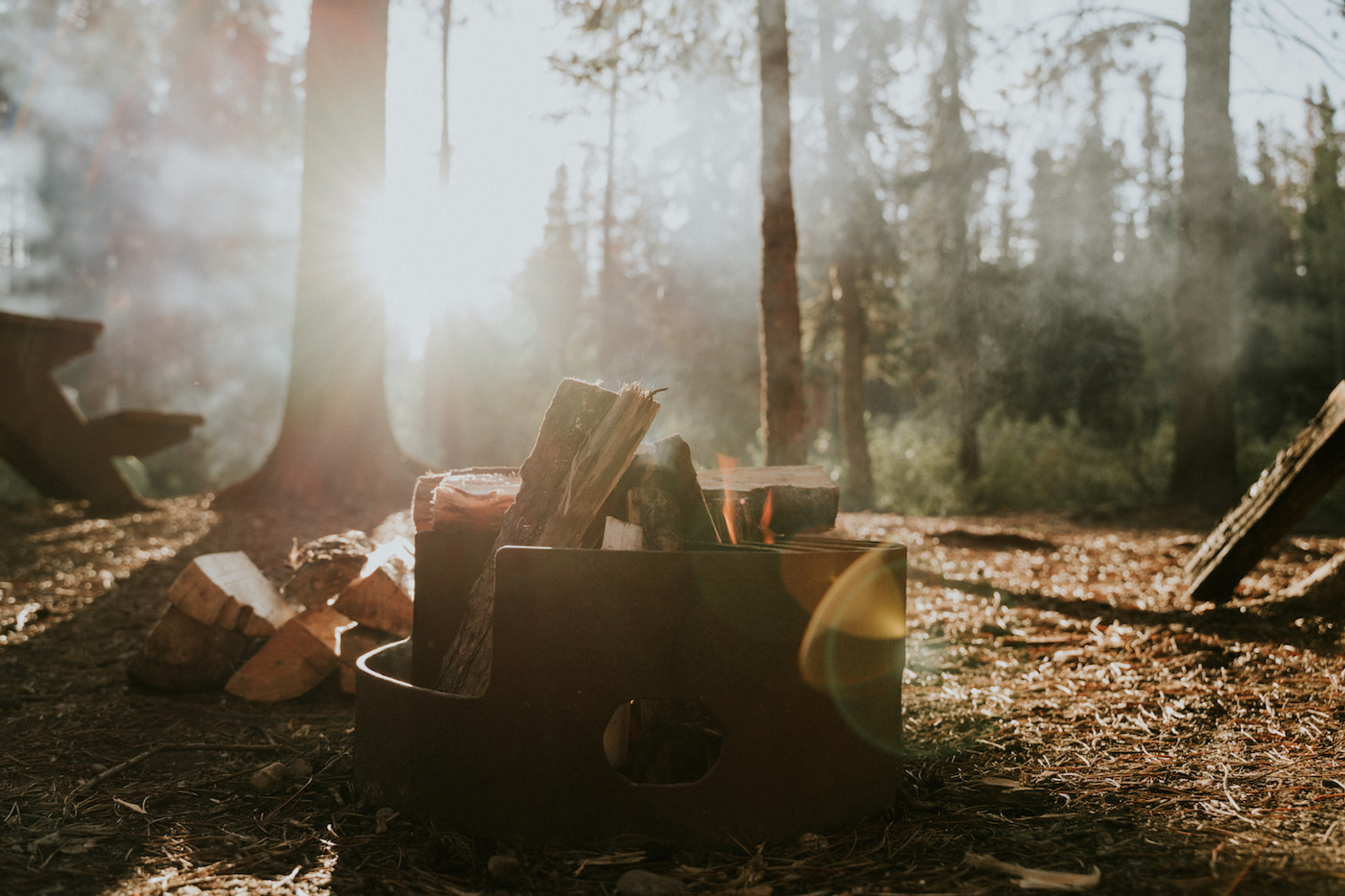 shutterstock_1756868090-1639646501