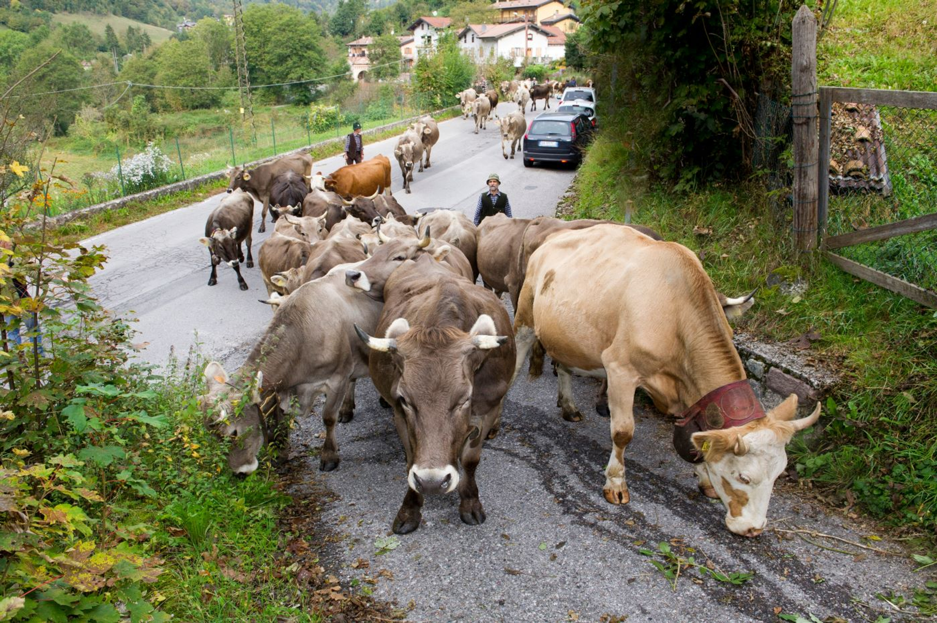 Elio_Villa_2-1698852657