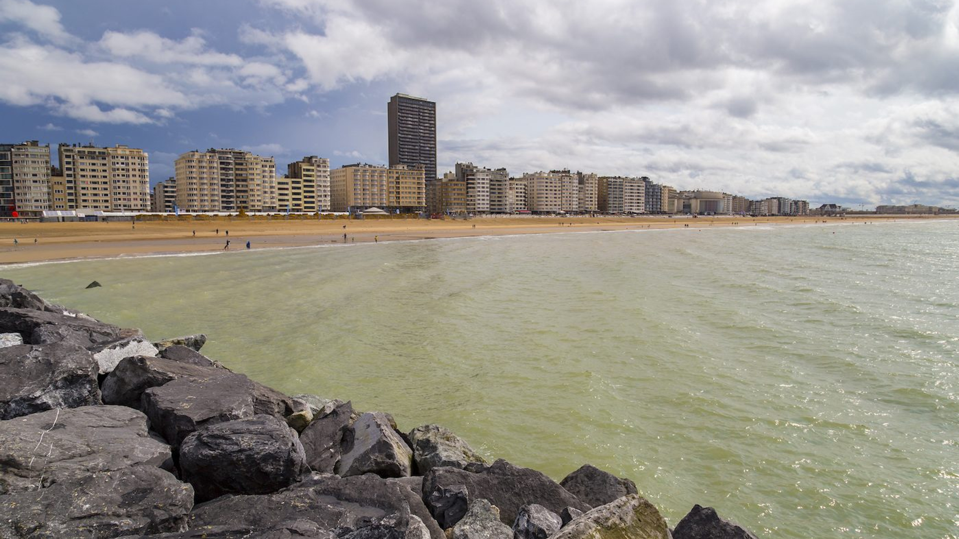 68914af3-d2ad-41d8-a0bb-0d87d7ddb6cd-1605105505