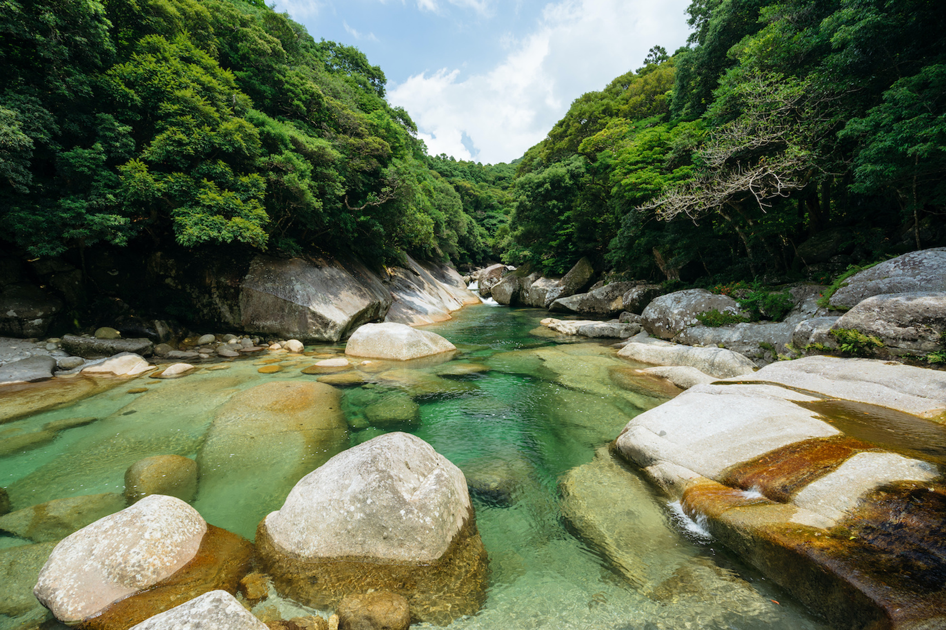 shutterstock_681991027-1611229659