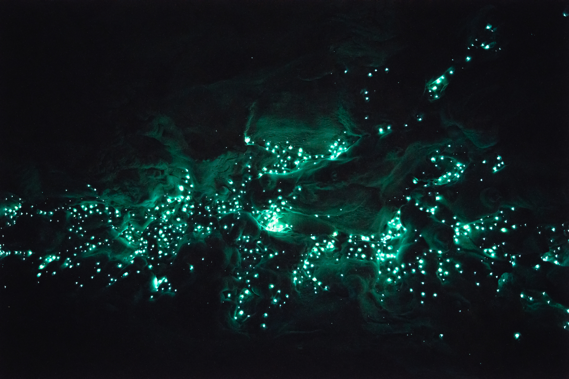 shutterstock_401767438-1652858971