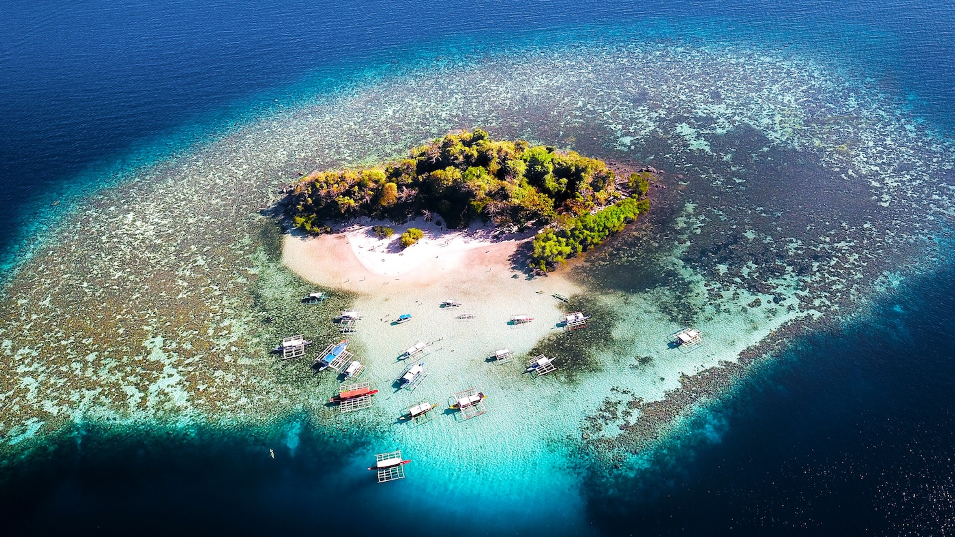 shutterstock_1233664627-1762254467