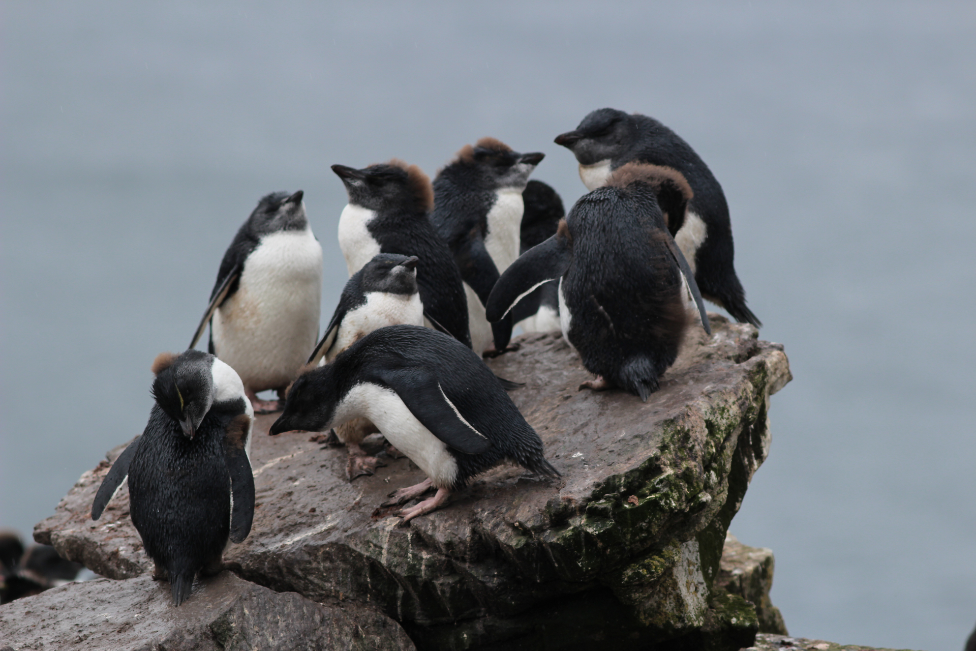 Marinko_Milosevic-1678964384