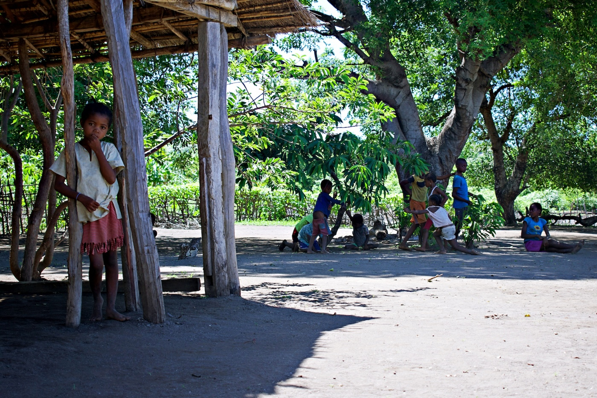 Madagascar_EL_8-1710868623