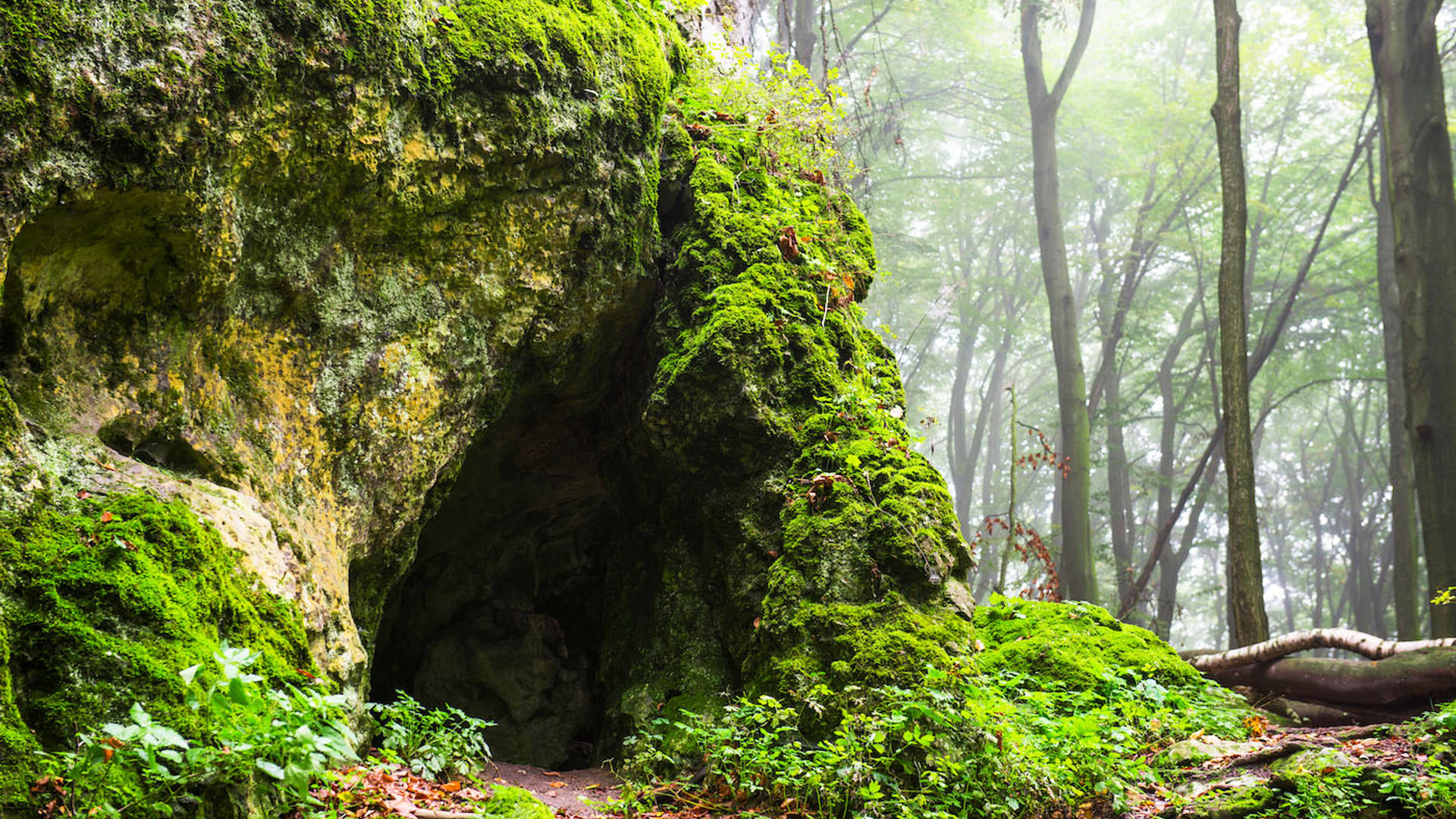 Banner_Movile_Cave-1636119777