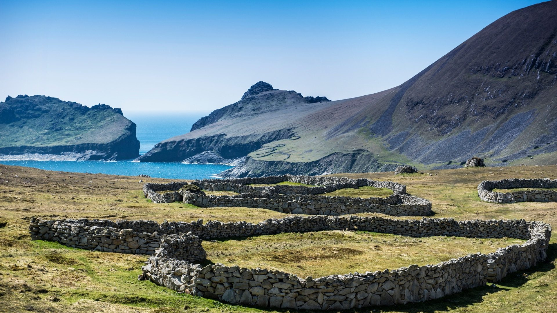 f2b42b81-d22e-40da-a848-5cc89d1178c8-1605091299