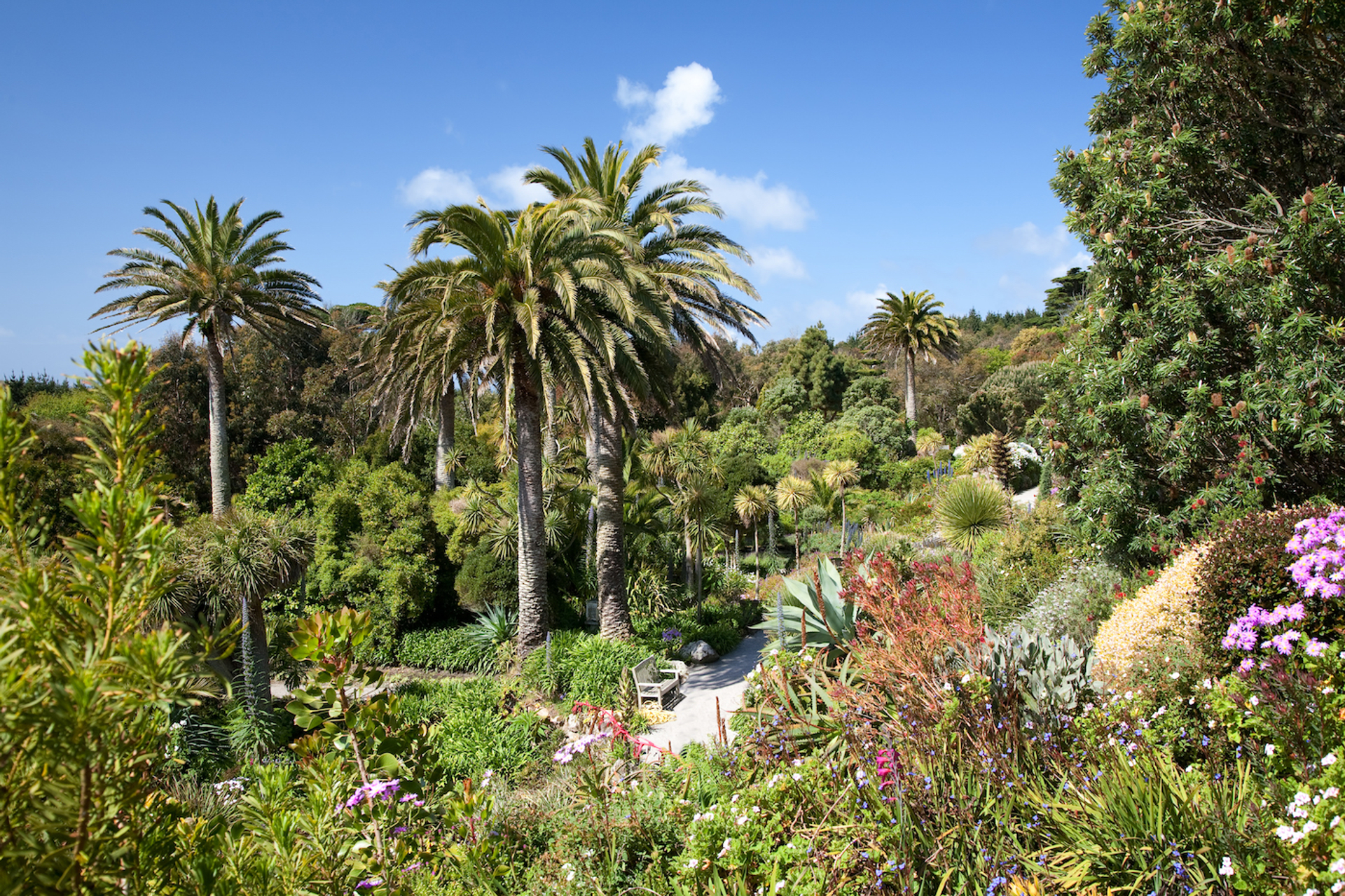 Andrew_Roland-1703070399