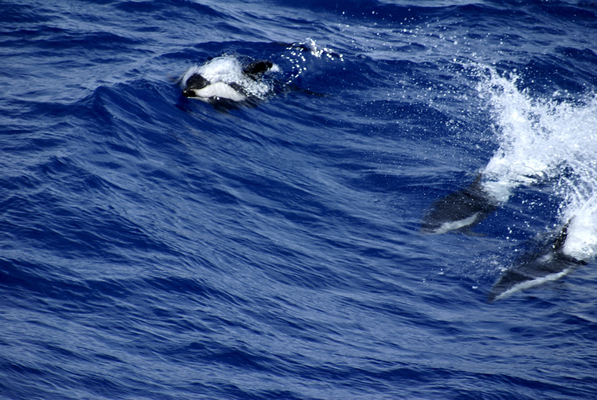 shutterstock_771206542-1727095094