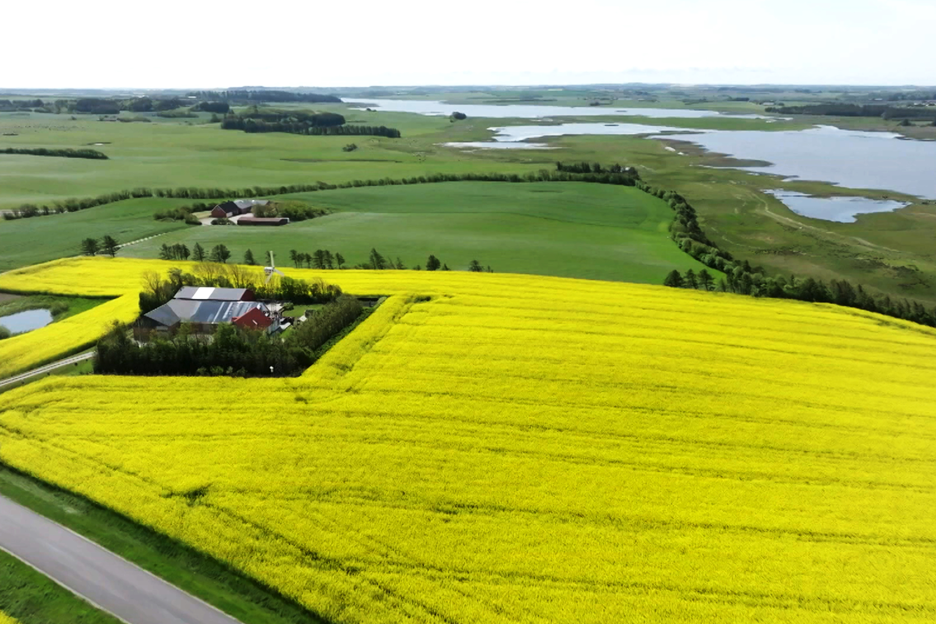 DUURZAAM-DENEMARKEN-1694783492