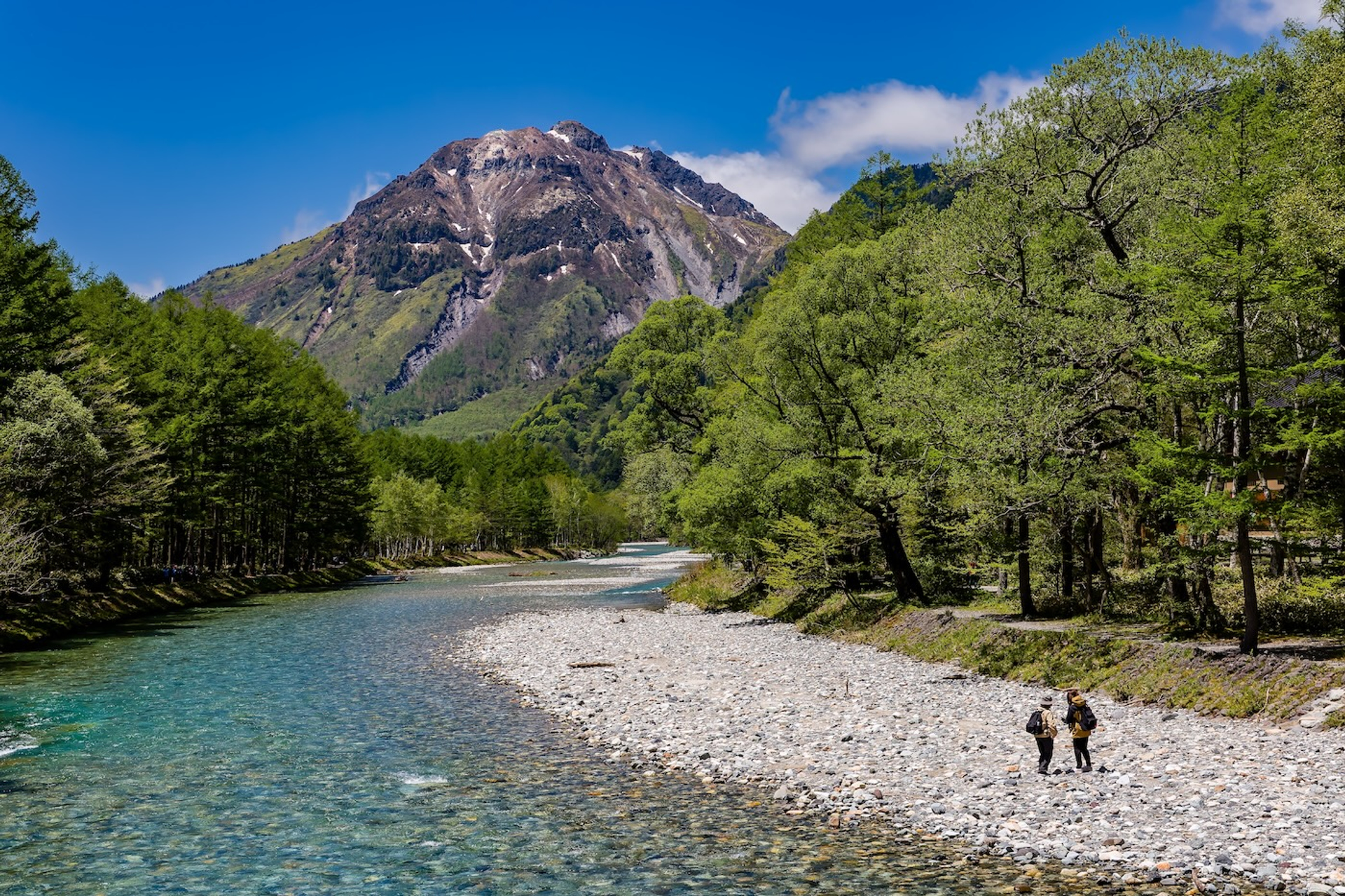 shutterstock_2445081937-1747232841