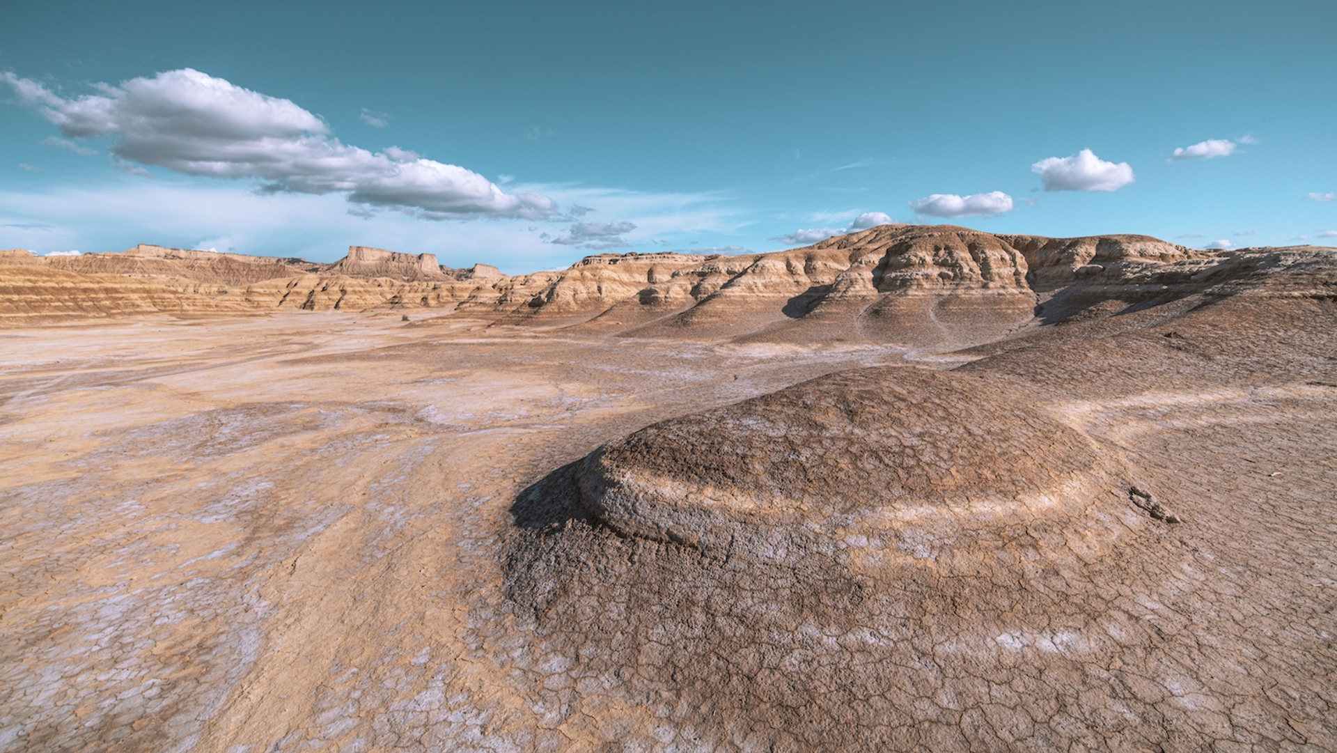 shutterstock_2073834038-1650617273