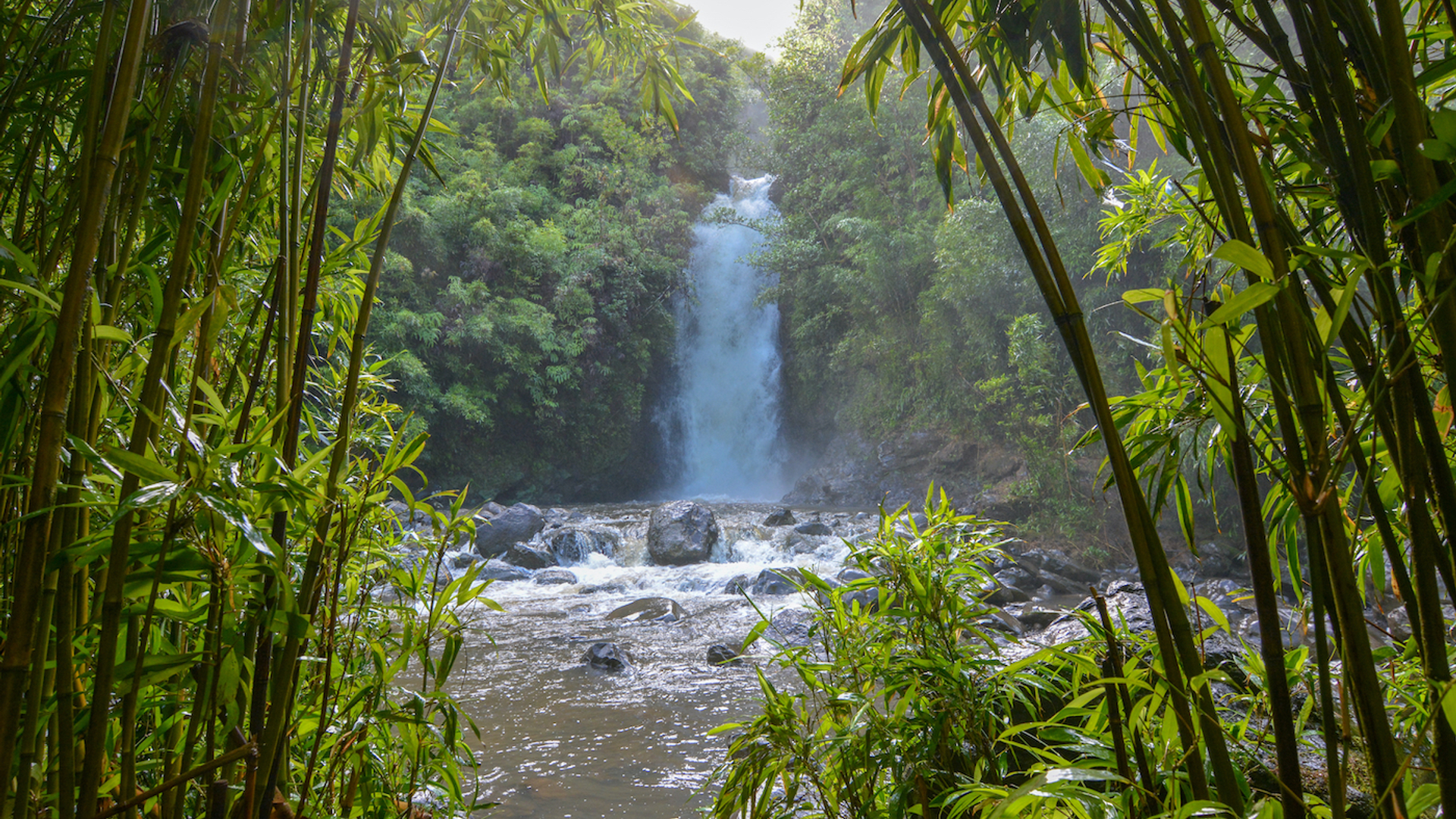 shutterstock_1158462802-1611229283