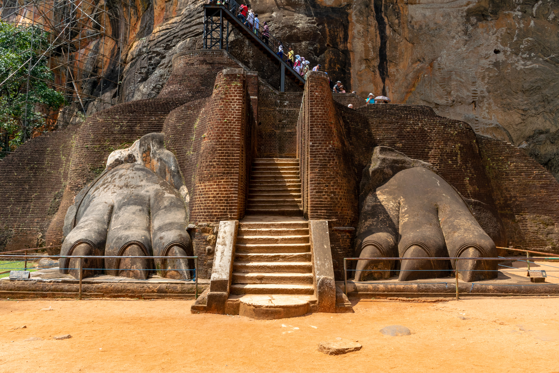 Greenelephant-1680095532