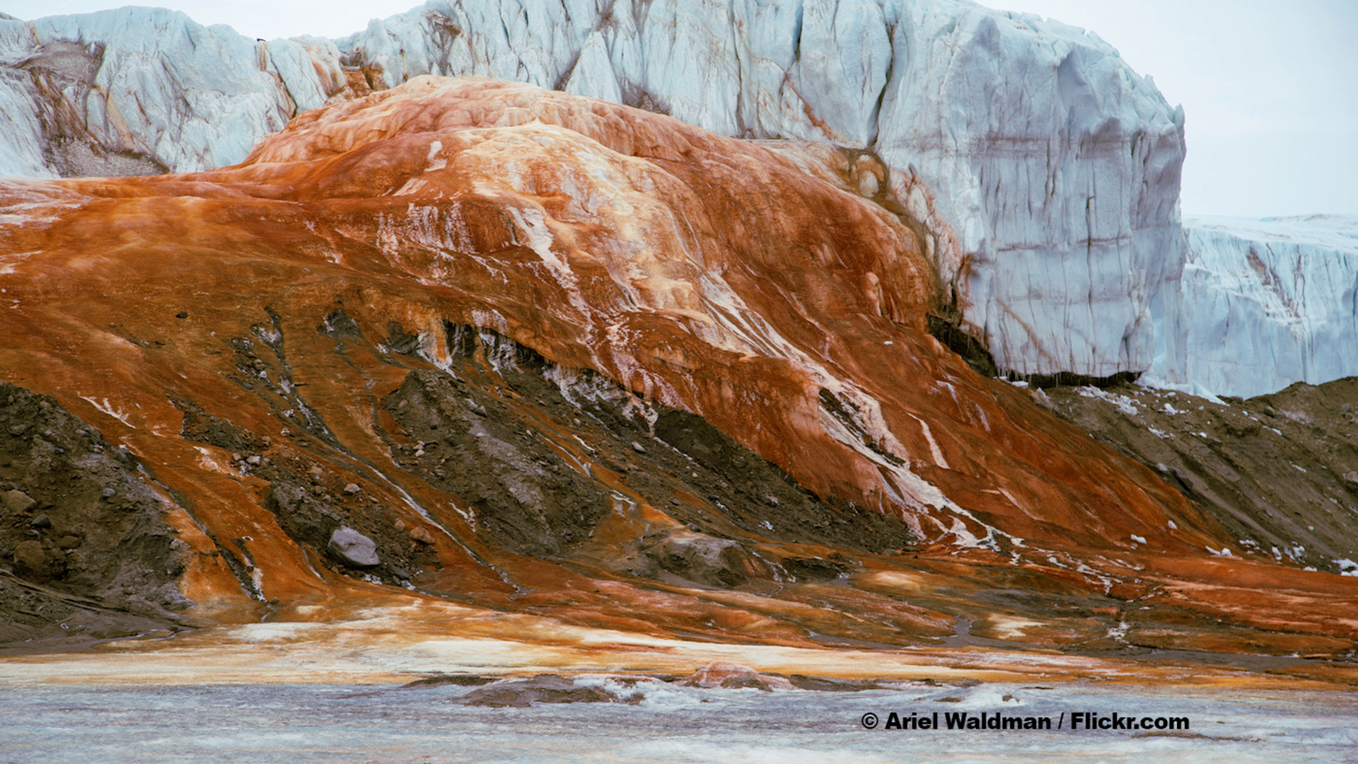 Goede_Thumb_-_Ariel_Waldman_3_-_Flickr_bron-1675159037