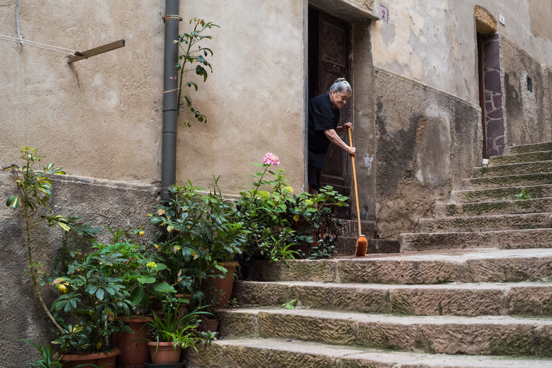 shutterstock_1428259256-1691163565