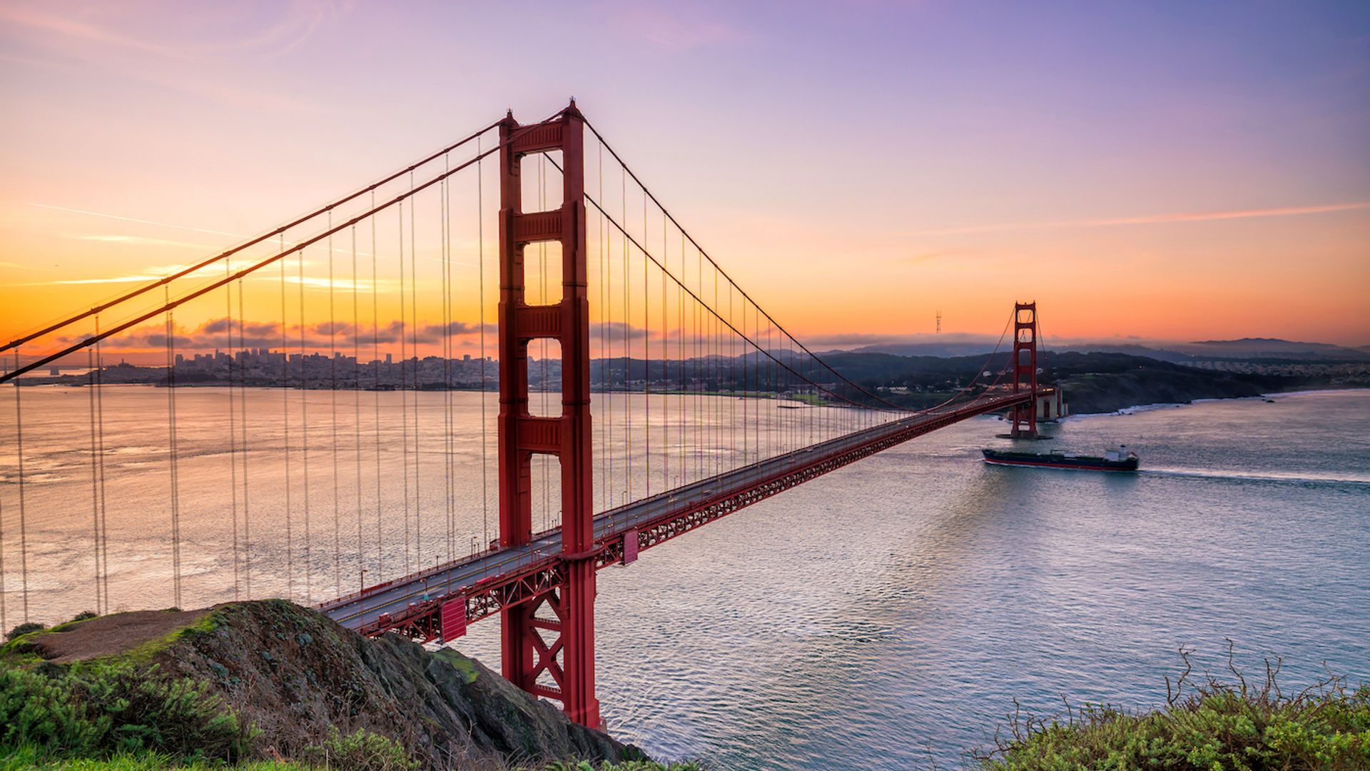 f11photo___Shutterstock.com-1680699401