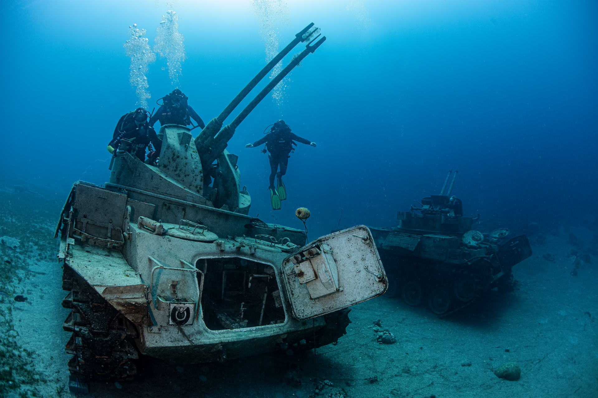 shutterstock_1591916326-1720793653