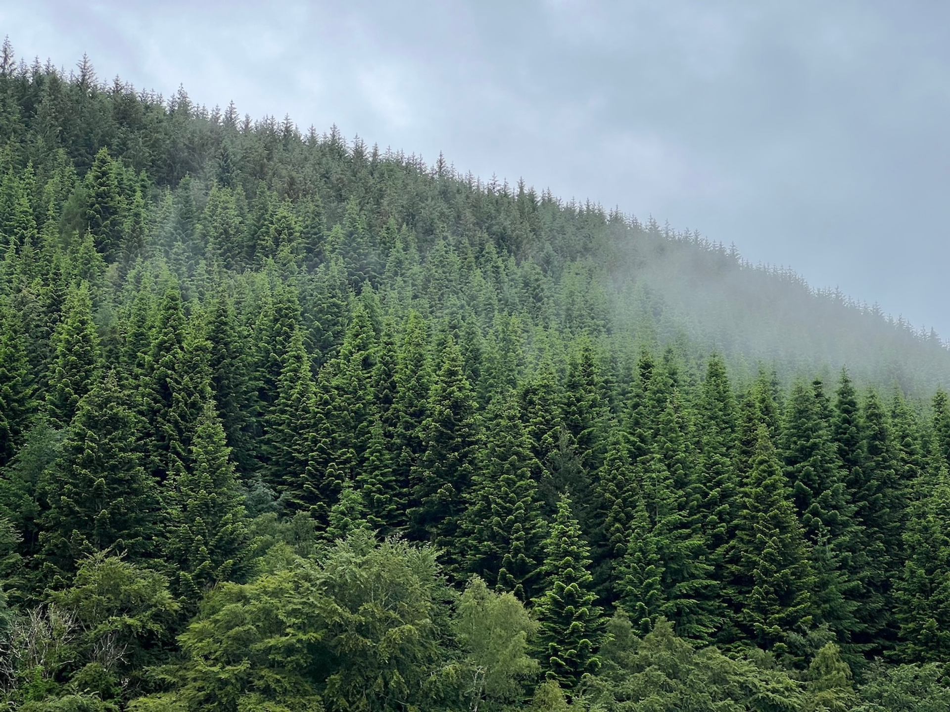 Fraser_at_Sea-1725454028