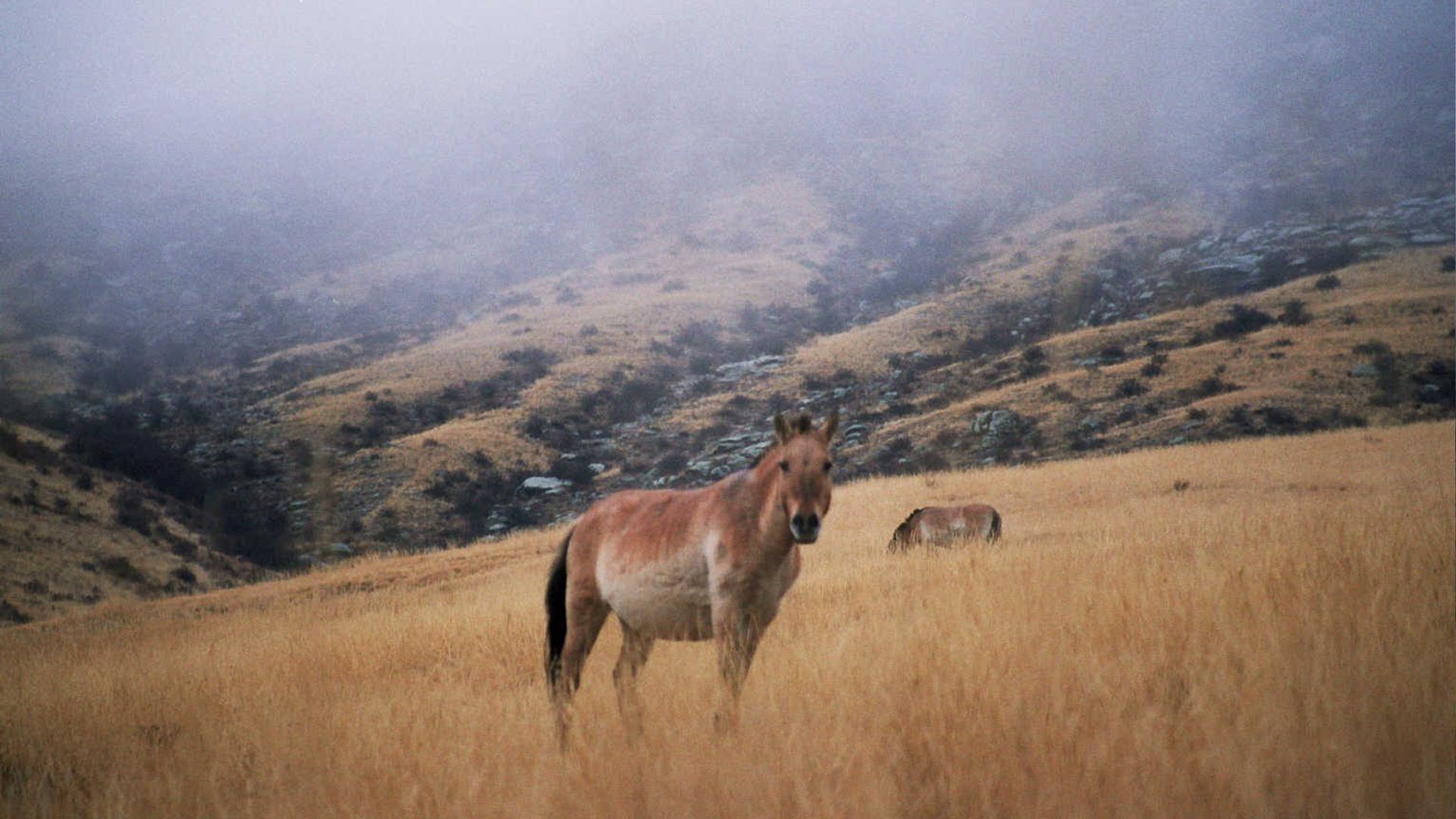 3859e532-0af7-43e4-bd6a-791ebeb5687d-1605104284