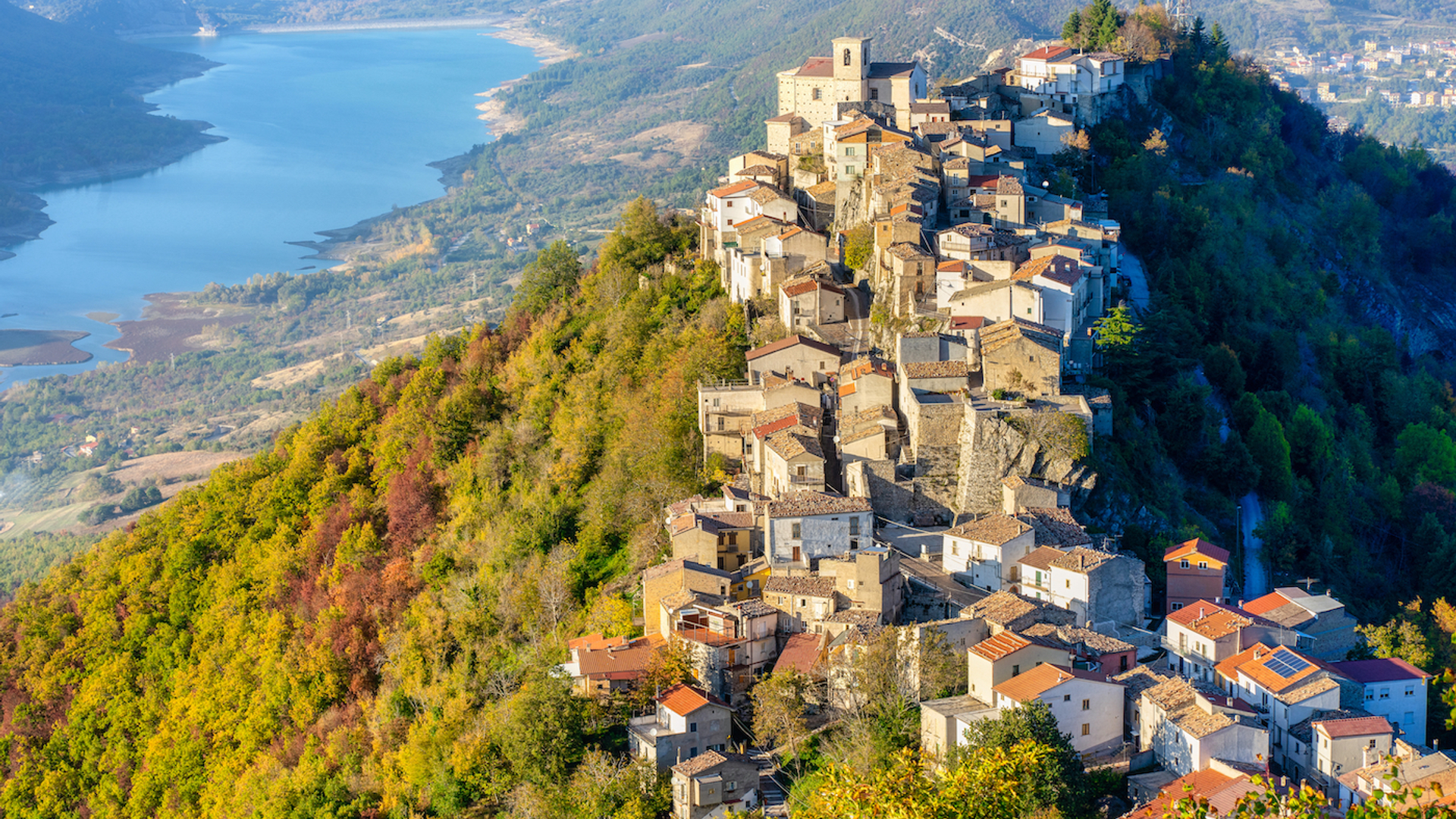 shutterstock_1850812066-1699022697