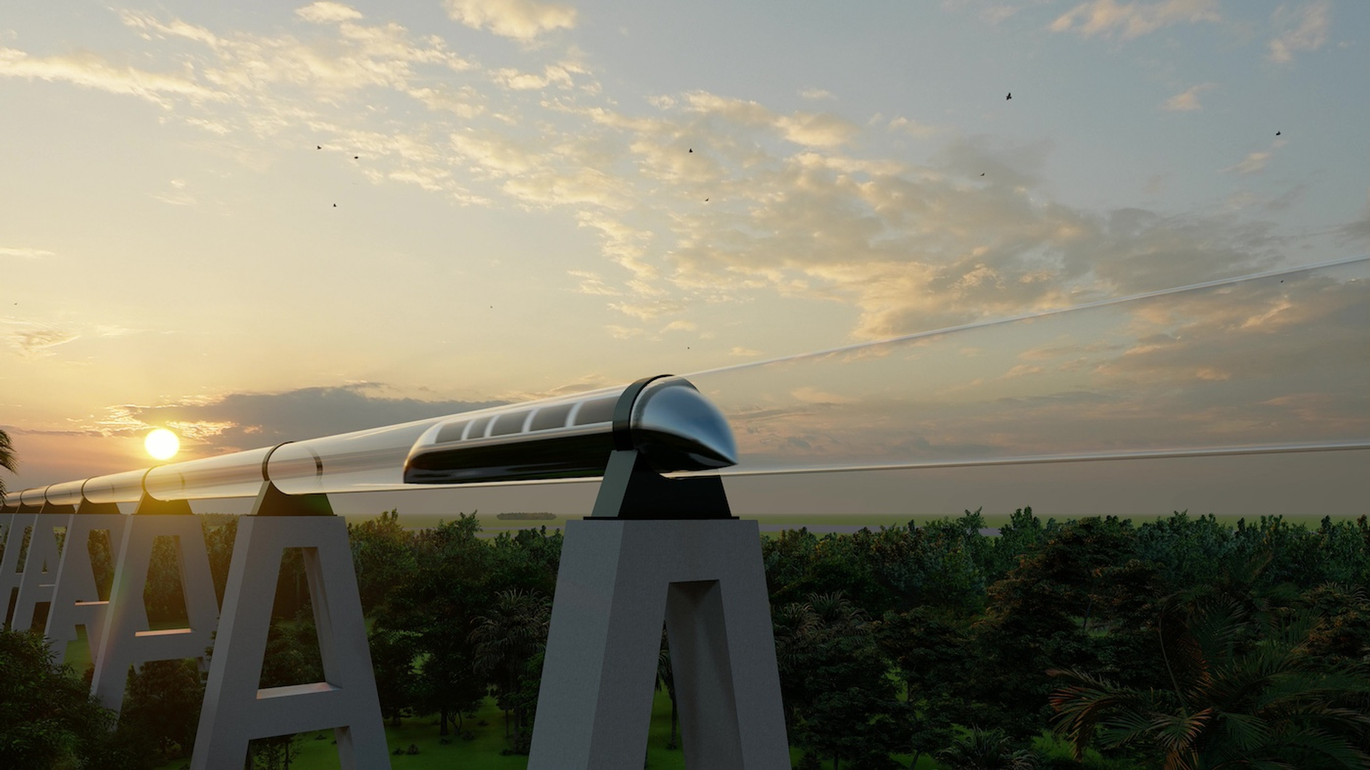 shutterstock_1589161174-1714569534