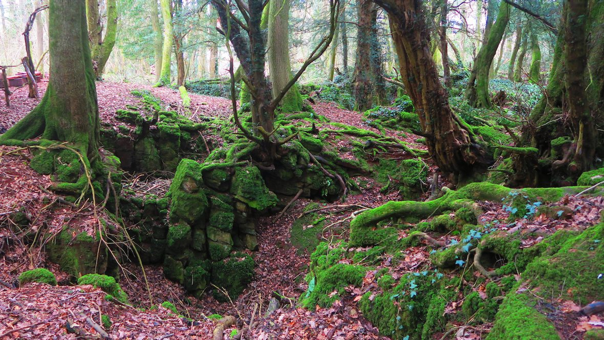 1f86c385-e8da-4c69-aef5-8d9e6bb6f63e-1604945657-1629186535