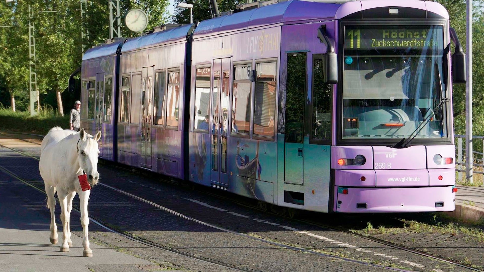 Jenny_the_Horse_Header-1636974811