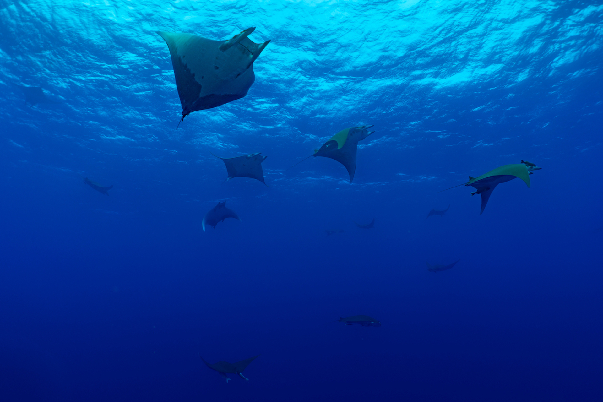 Samy_Kassem___Shutterstock.com-1695388840