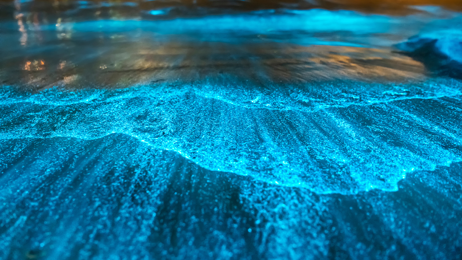 Mosquito_Bay_2-1674829742